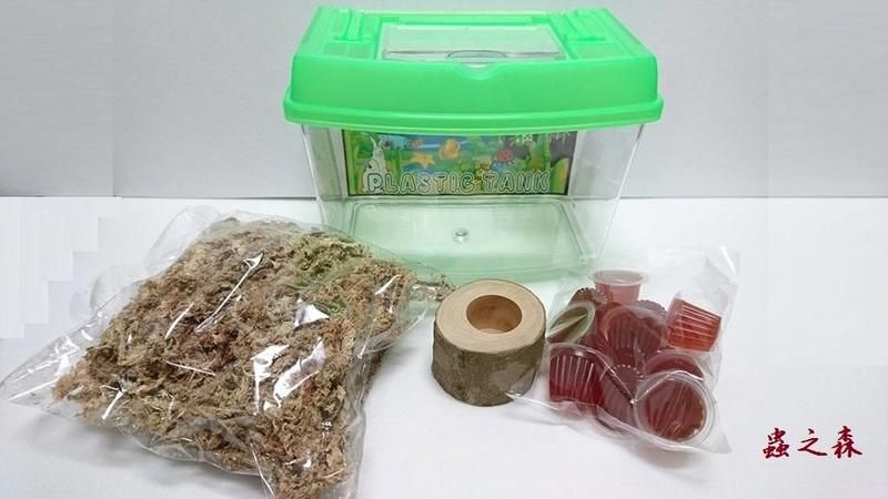 【蟲之森 甲蟲】~甲蟲昆蟲箱、飼養箱、成蟲飼養套裝組（獨角仙.鍬形蟲） -M-特價:295元