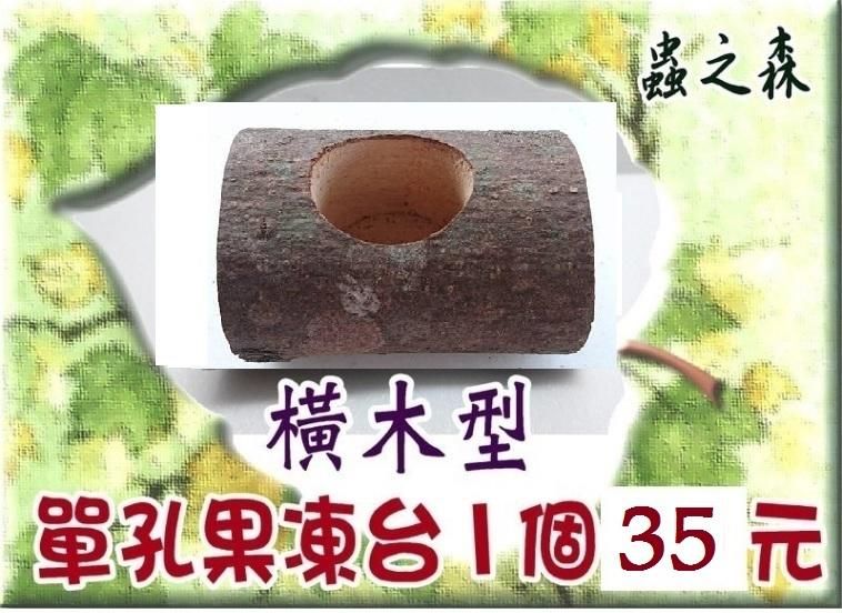 【蟲之森 甲蟲】《橫木型-單孔果凍台》~（昆蟲與小動物們食物的家哦!） $35