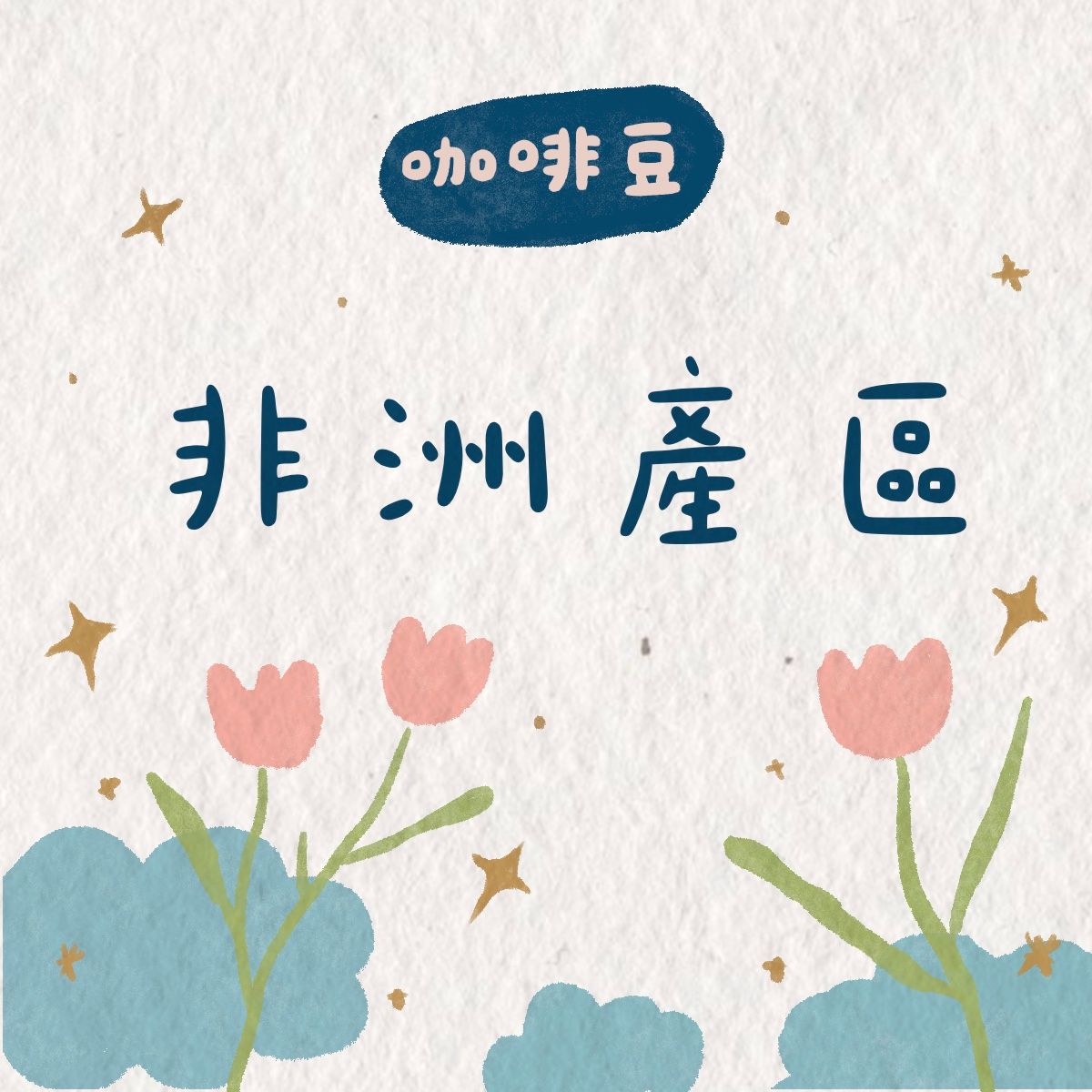 咖啡豆 | 非洲產區｜120g裝