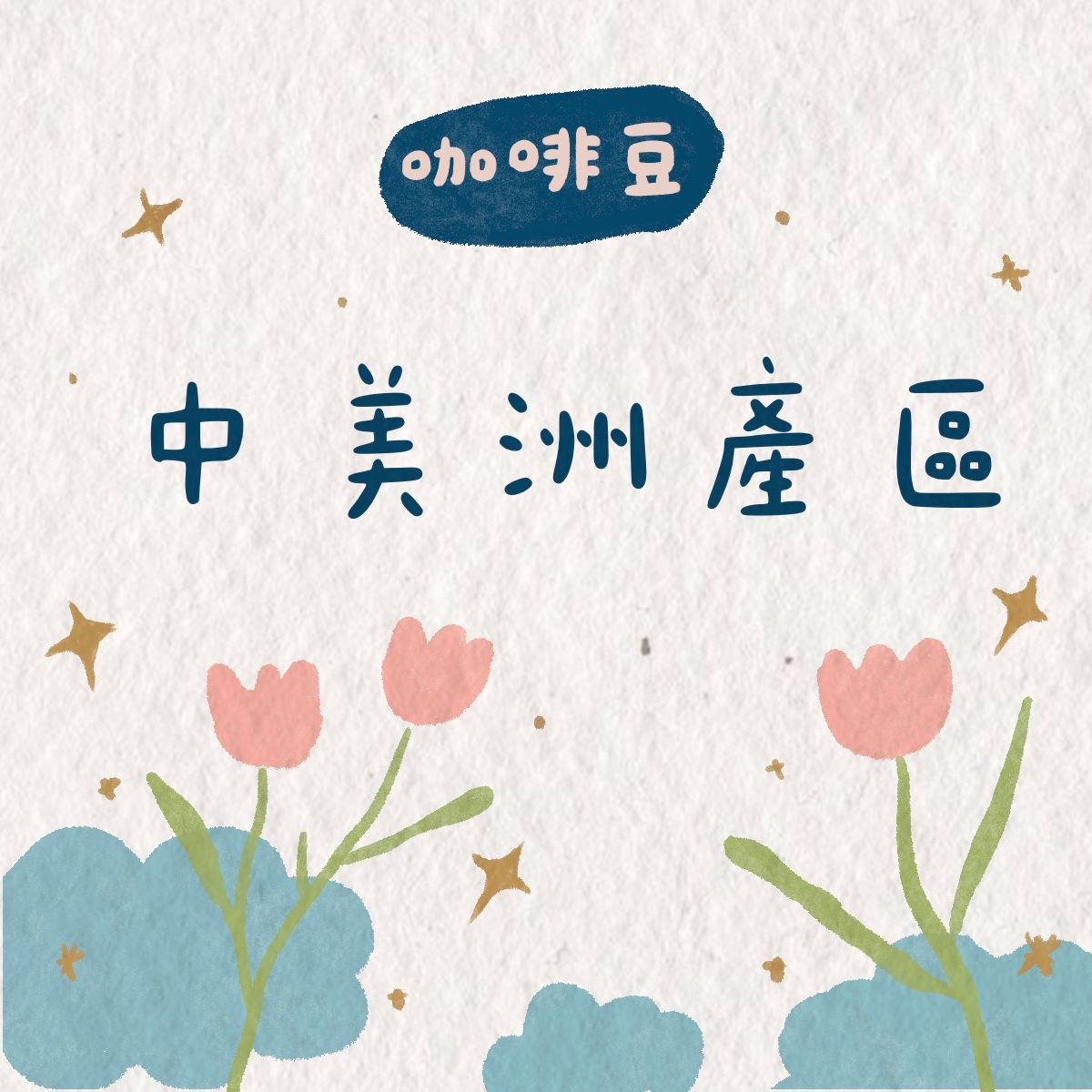 咖啡豆 | 中美洲產區｜120g裝