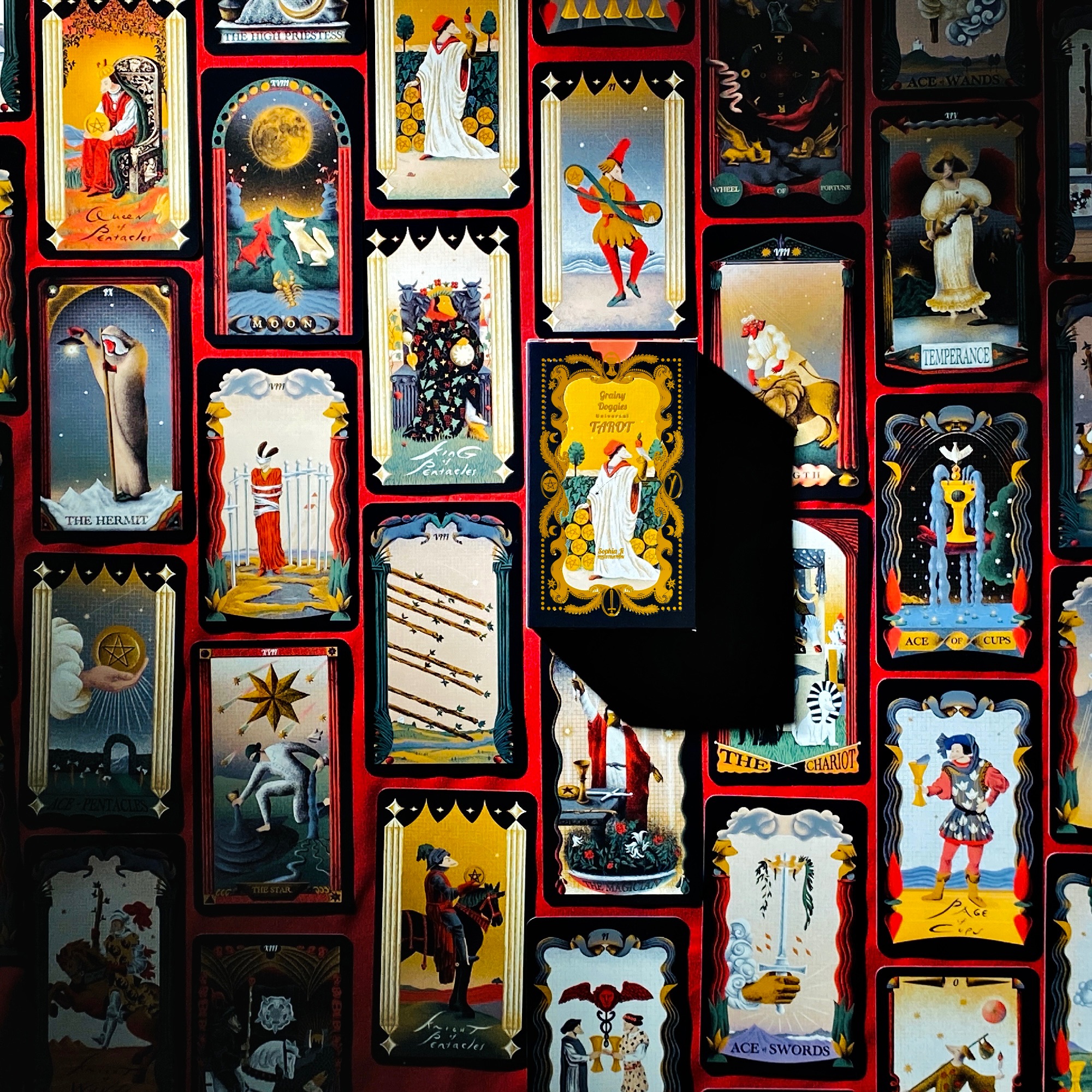 狗狗的塔羅牌