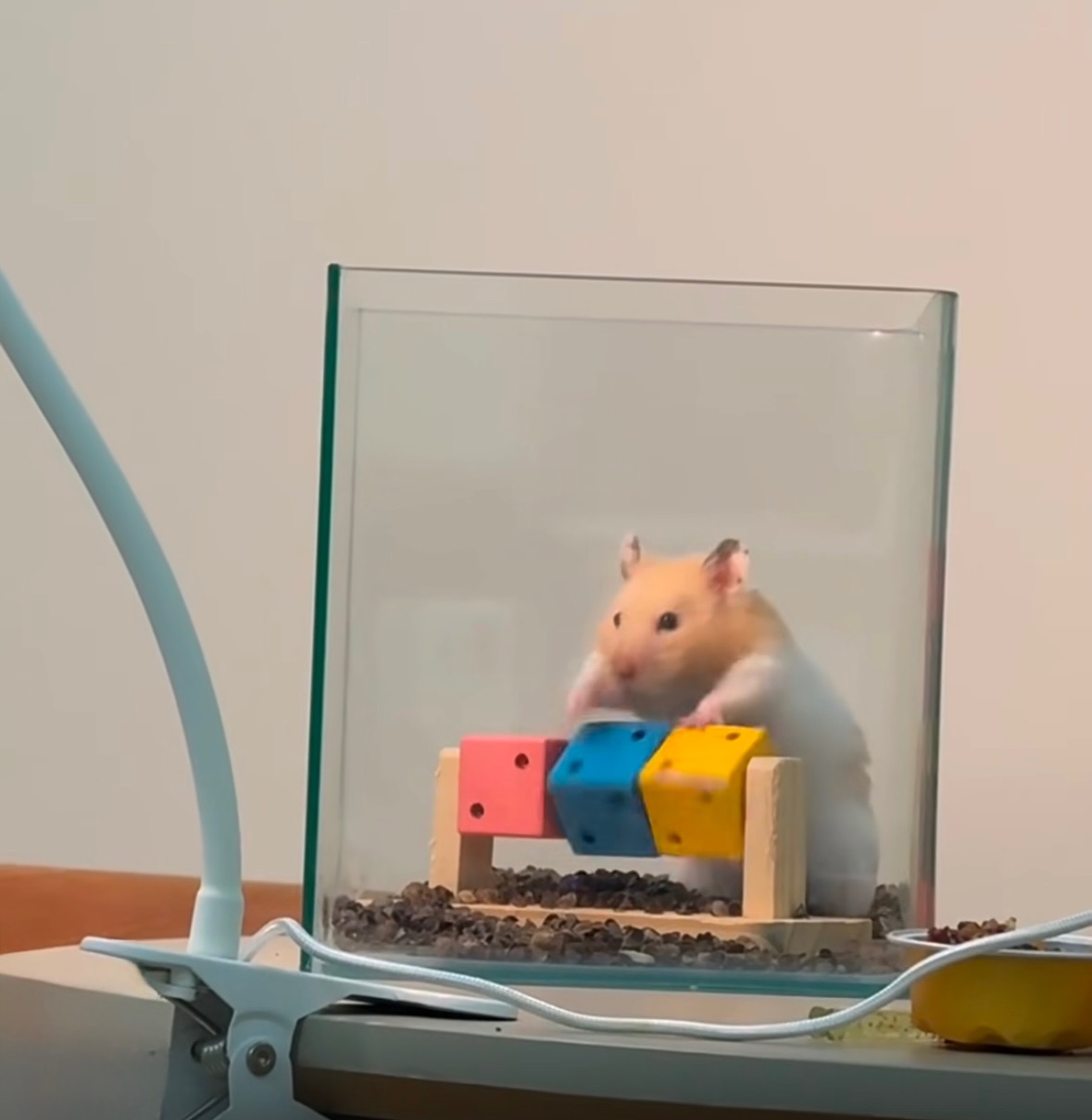 （預購） 旋轉小魔術方塊🪄