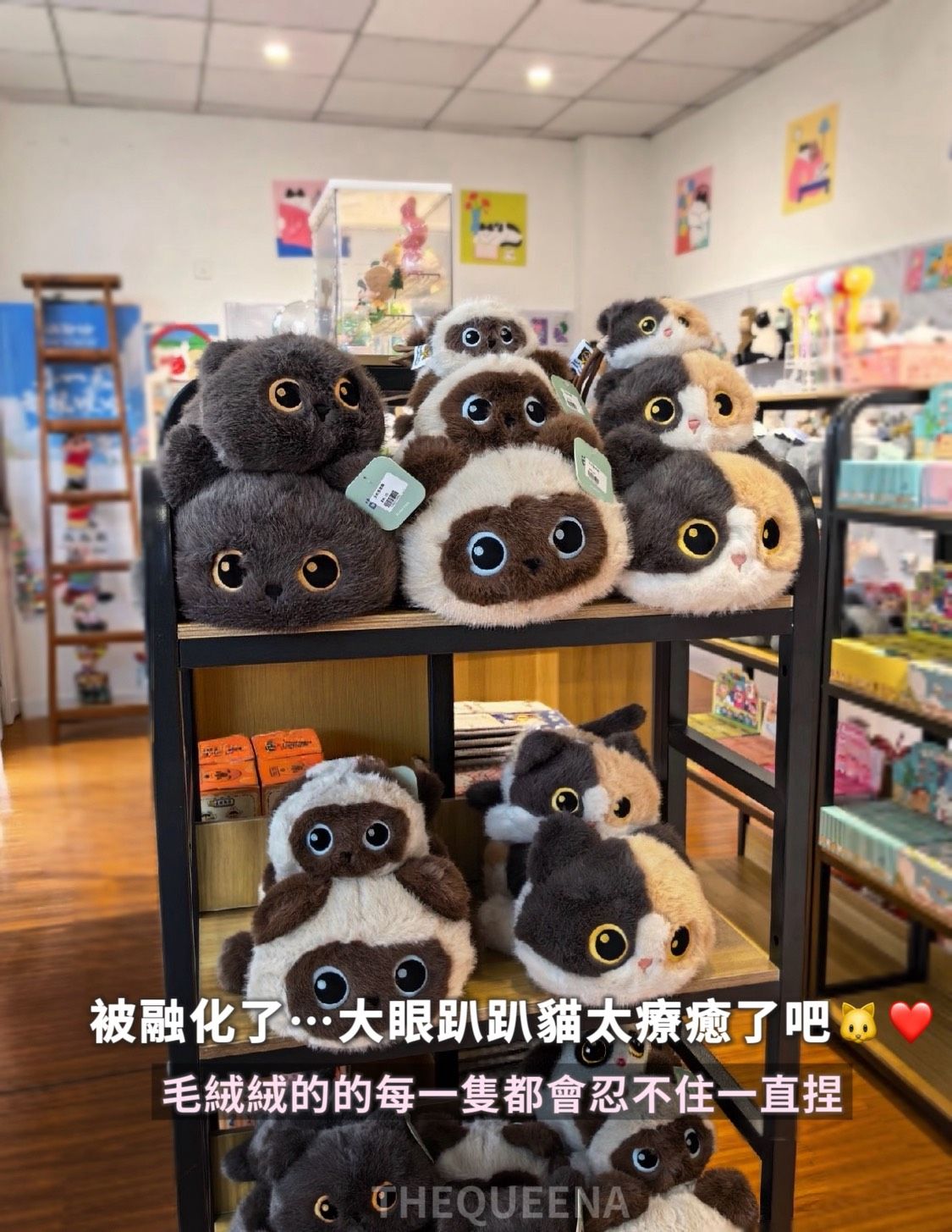 暹羅貓 趴姿毛絨娃娃 小黑貓 三花貓 玩偶掛件