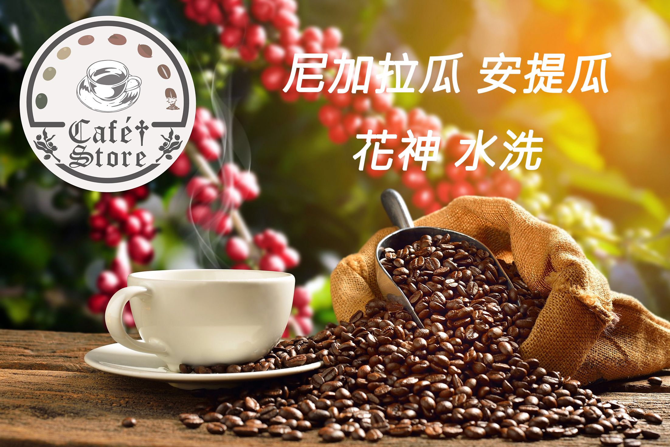 Cafe Store  瓜地馬拉 安提瓜 花神 水洗 半磅 咖啡豆