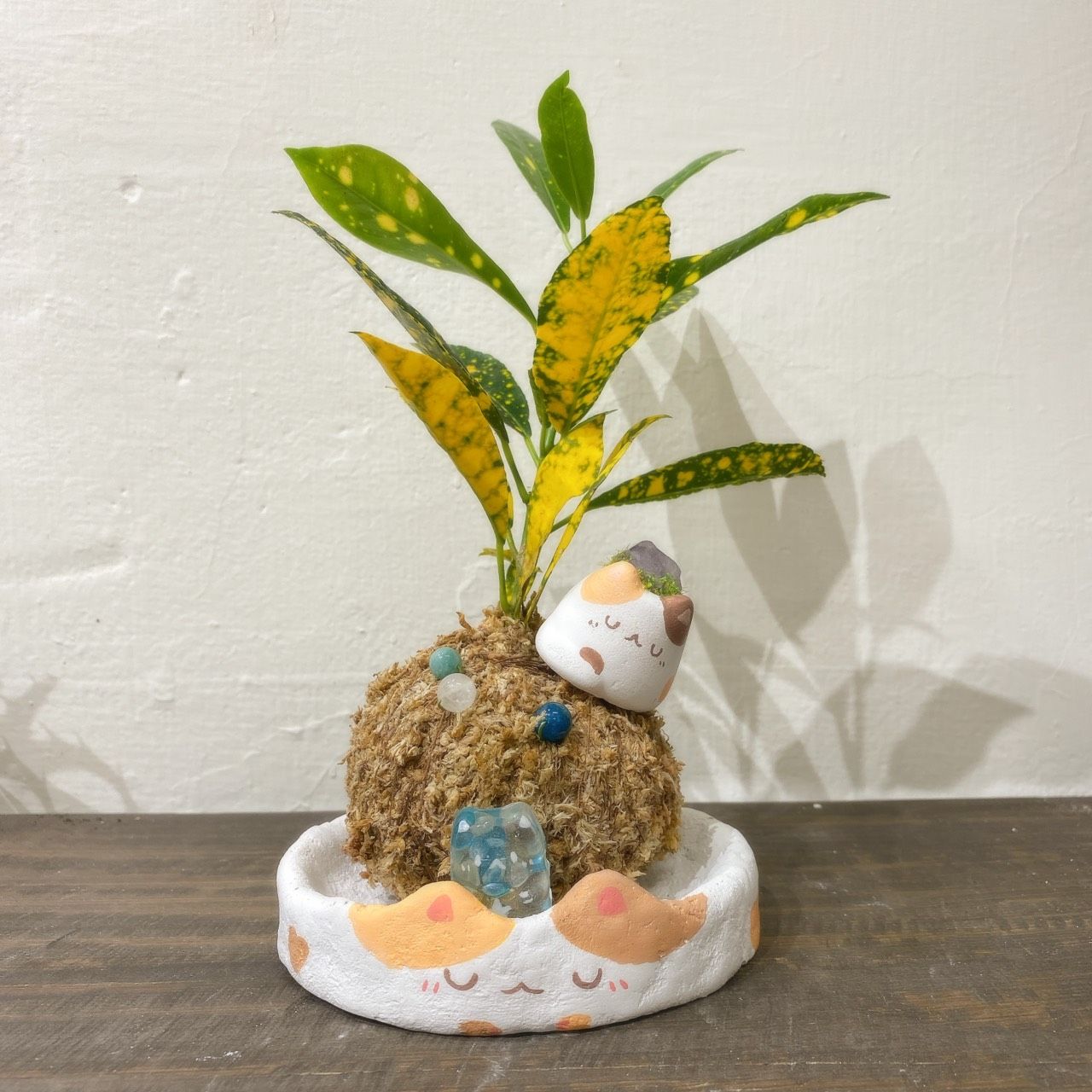 浮光苔夢 貓咪星球