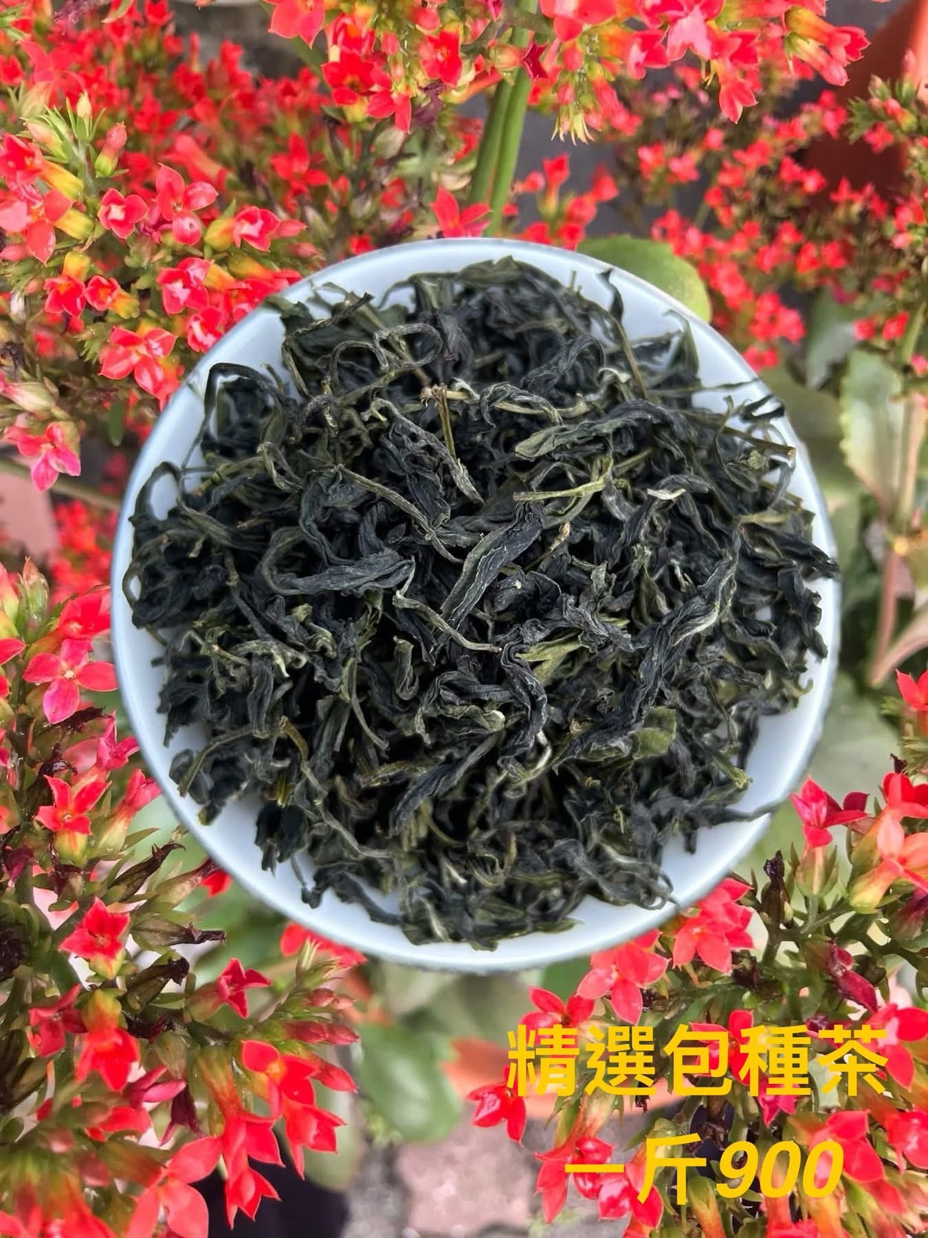 坪林文山包種茶（清茶）（114年冬茶上市！）900元一斤！！！（國蘭茶莊自產自銷）