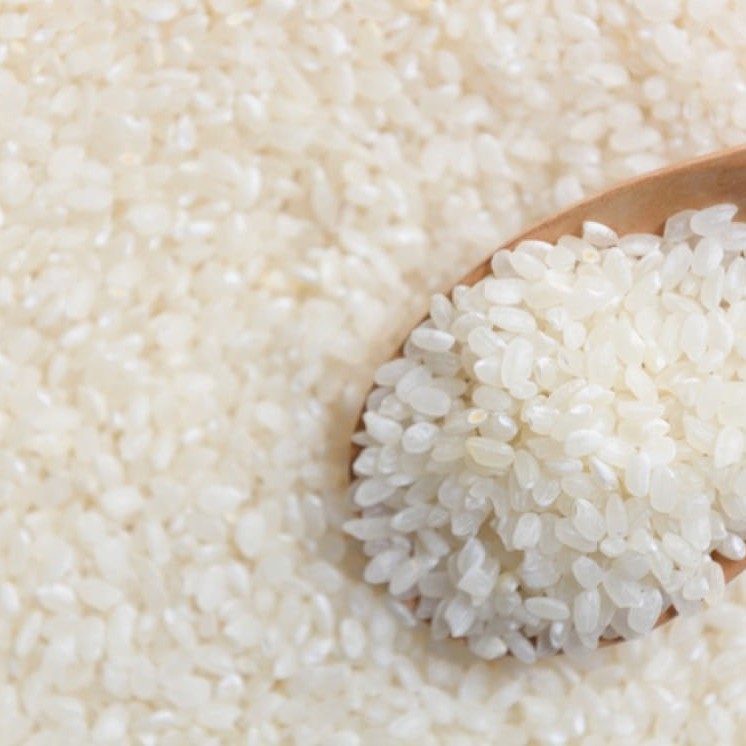 現貨✨有機✨白米