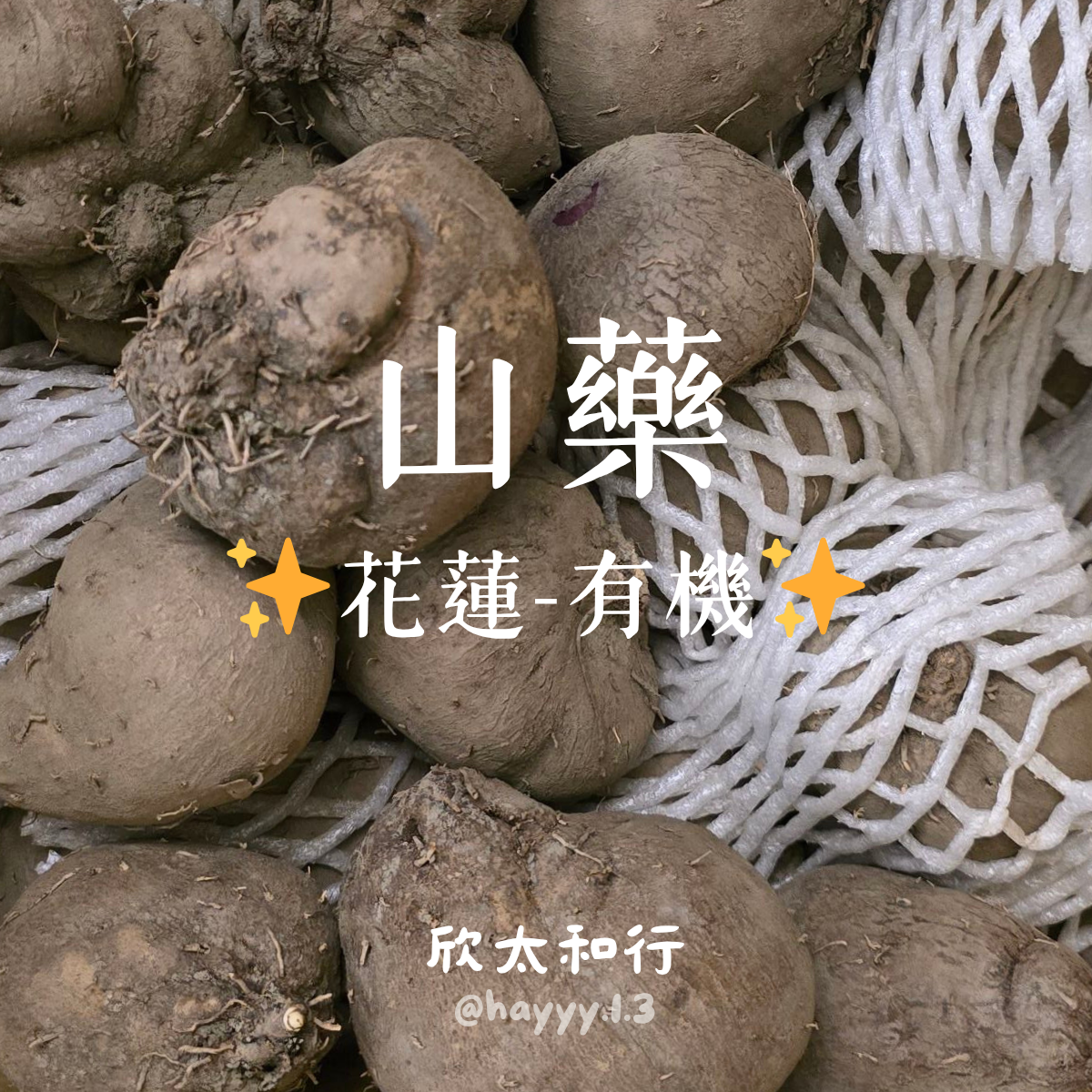 現貨✨有機✨明淳山藥