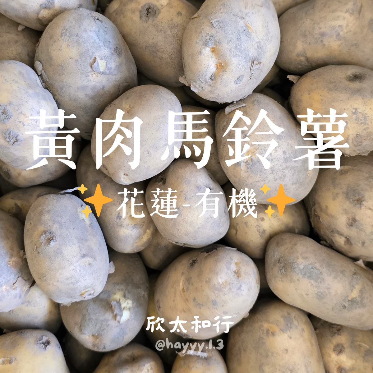現貨✨有機✨明淳馬鈴薯