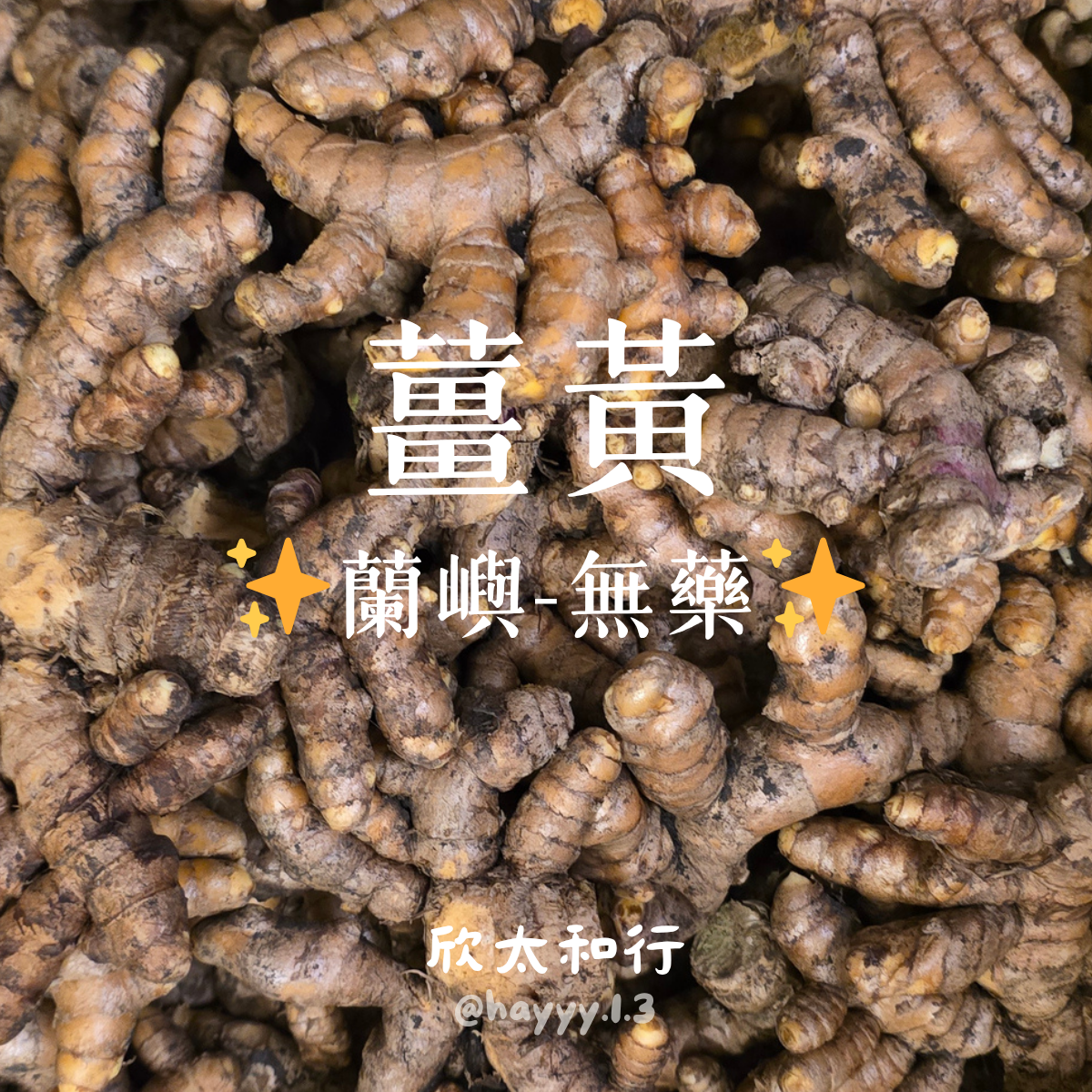 🦧現貨✨無藥✨蘭嶼薑黃