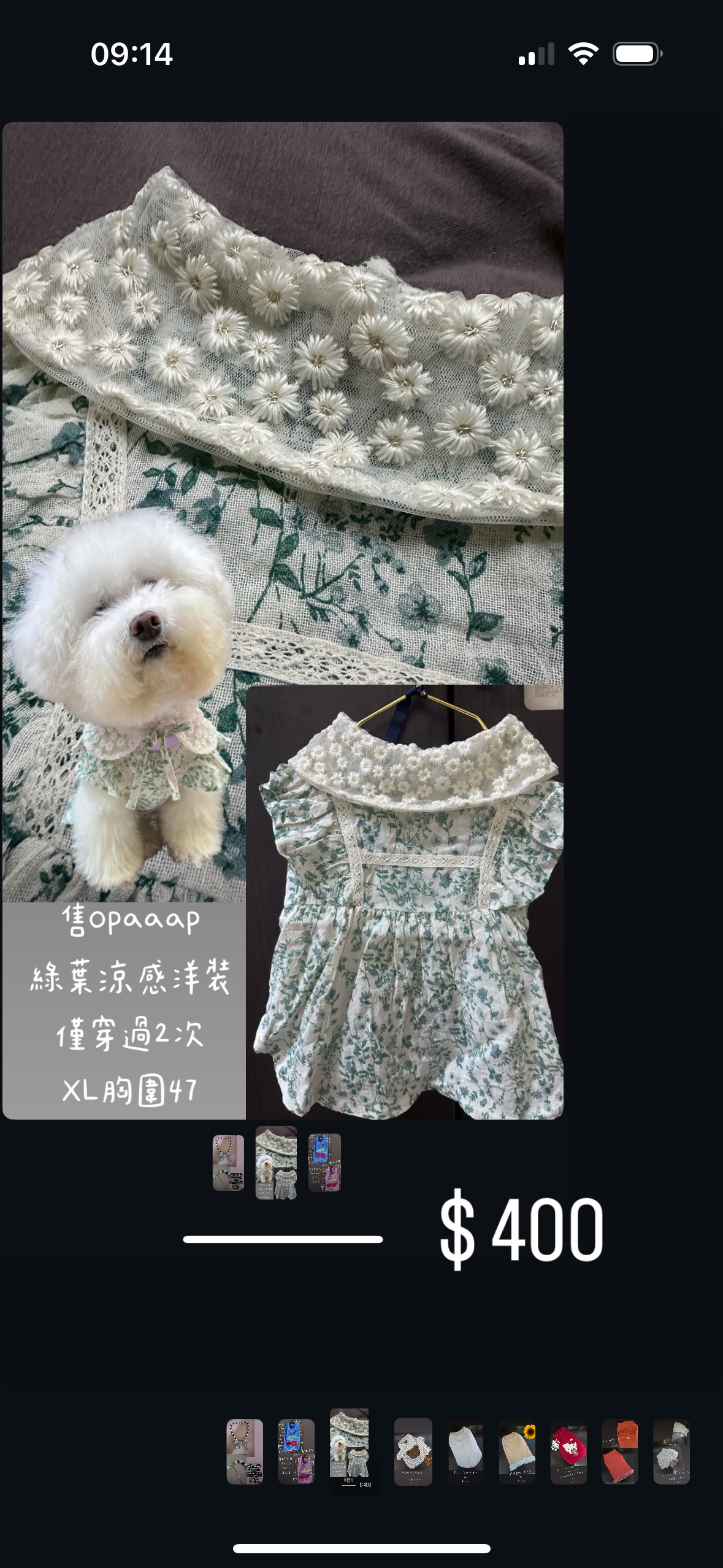 韓國Opaaap綠葉涼感洋裝