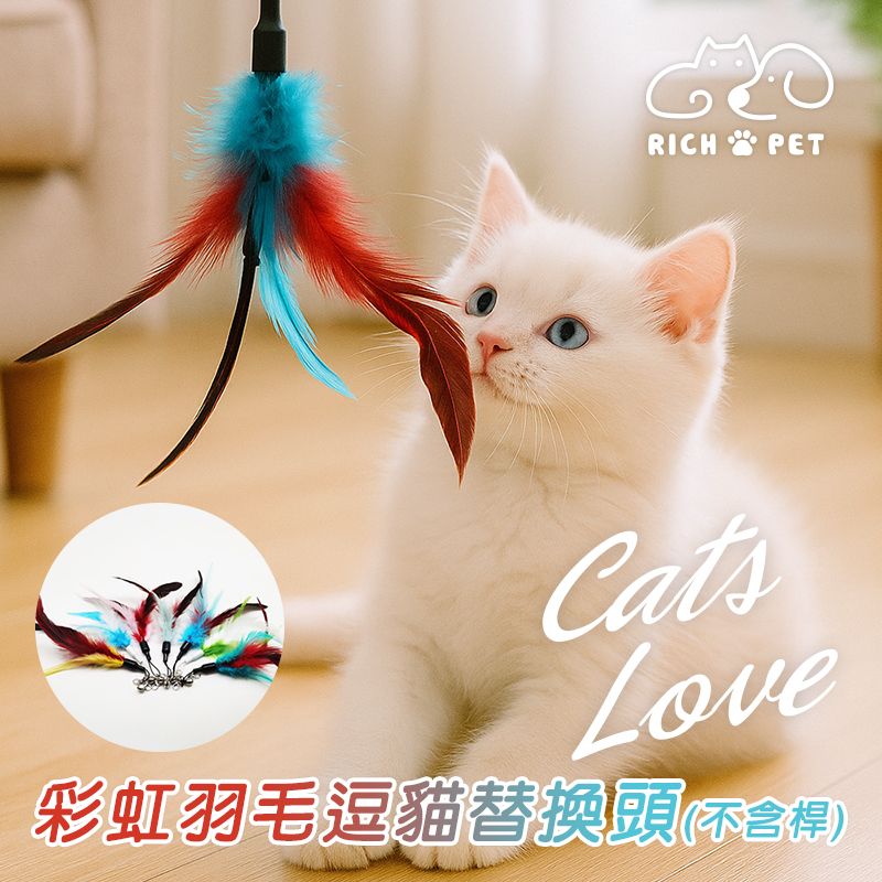 RICH PET 彩虹羽毛逗貓替換頭 隨機出貨 逗貓棒 貓咪玩具 貓玩具 可替換頭  補充頭 逗貓 T001