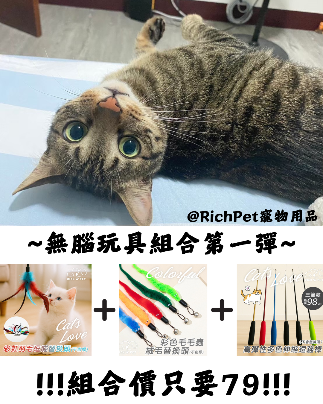 【RICH PET】無腦玩具組合第一彈 逗貓棒 貓咪玩具 貓玩具 可替換頭  補充頭 逗貓 T001 T014 T017