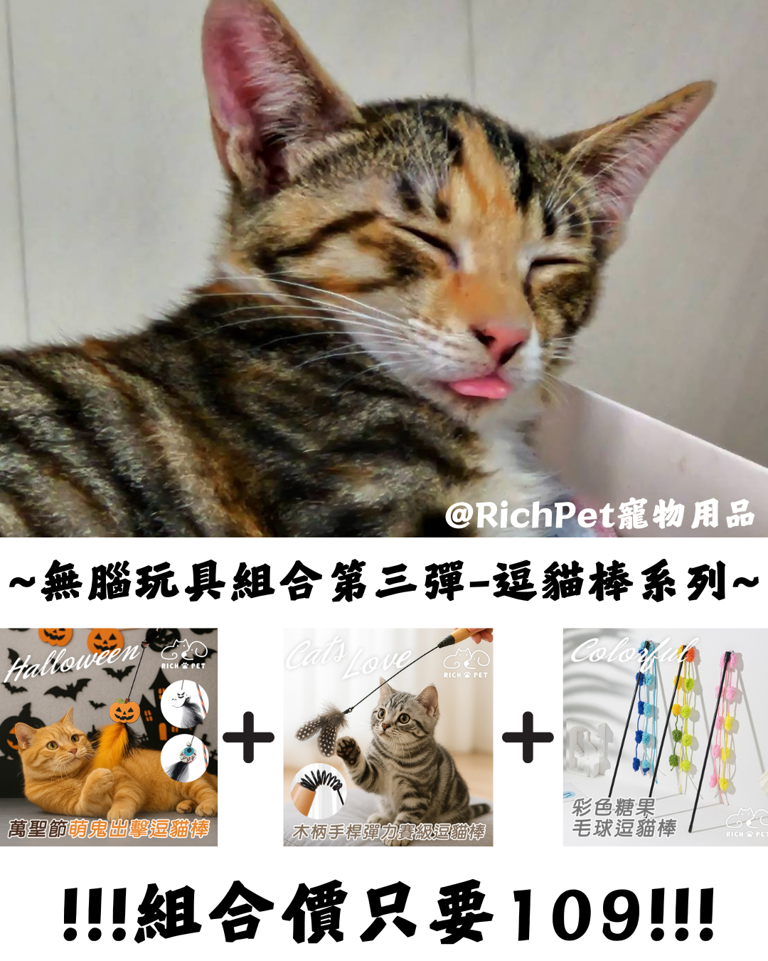 【RICH PET】無腦玩具組合第三彈 逗貓棒 貓咪玩具 貓玩具 寵物玩具 逗貓 T028 T031 T032