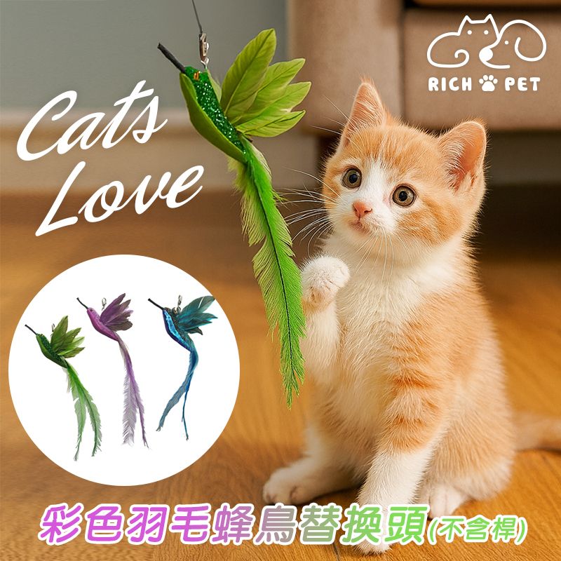 【RICH PET】彩色羽毛蜂鳥替換頭 逗貓棒 貓咪玩具 貓玩具 可替換頭 仿真羽毛 補充頭 逗貓 T003