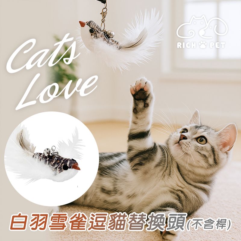 【RICH PET】白羽雪雀逗貓替換頭 逗貓棒 貓咪玩具 貓玩具 可替換頭 補充頭 逗貓 T004