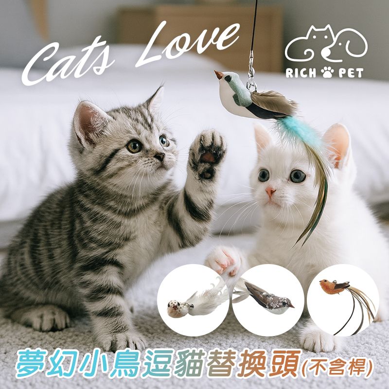 【RICH PET】幻羽雀語逗貓棒替換頭 逗貓棒 貓咪玩具 貓玩具 可替換頭 仿真羽毛 補充頭 逗貓 T005