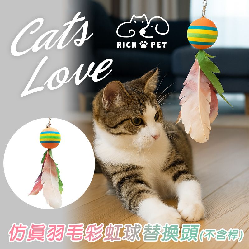 【RICH PET】仿真羽毛彩虹球替換頭 逗貓棒 貓咪玩具 貓玩具 可替換頭 仿真羽毛 補充頭 逗貓 T008