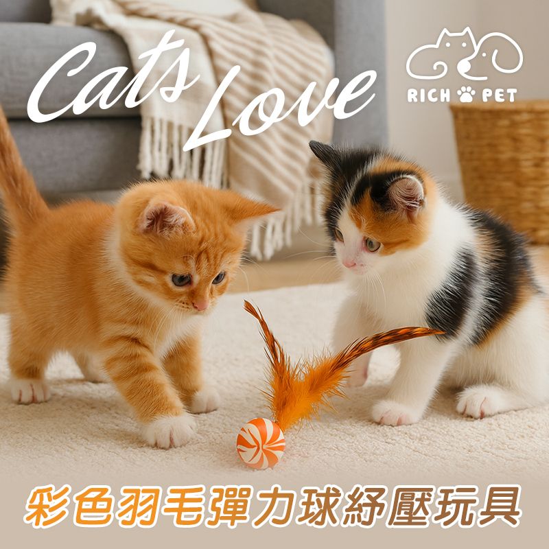 【RICH PET】彩色羽毛彈力球紓壓玩具  貓咪玩具 貓玩具  逗貓 彈力球玩具 貓互動玩具 逗貓球 T009