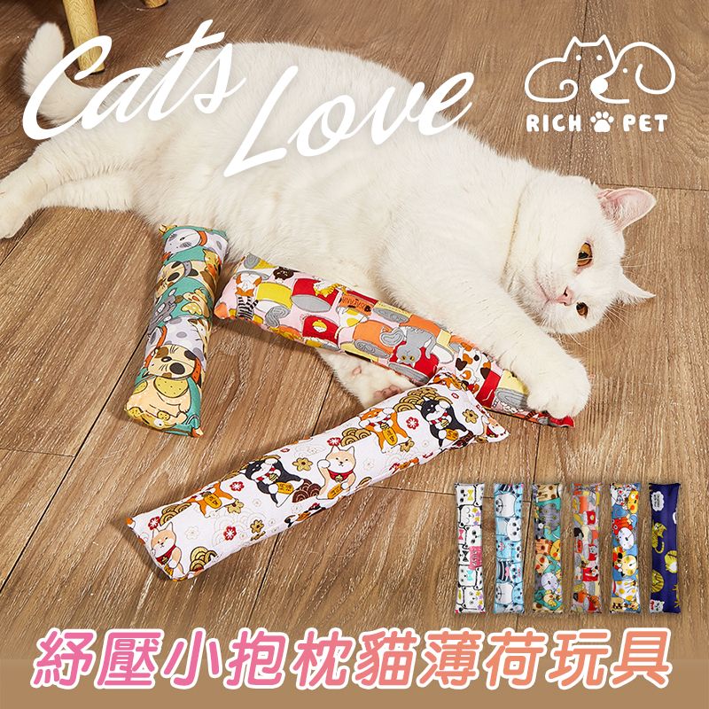 【RICH PET】紓壓咬咬小抱枕貓薄荷玩具 隨機出貨 貓咪玩具 貓玩具 逗貓 寵物玩具 貓玩偶 T011