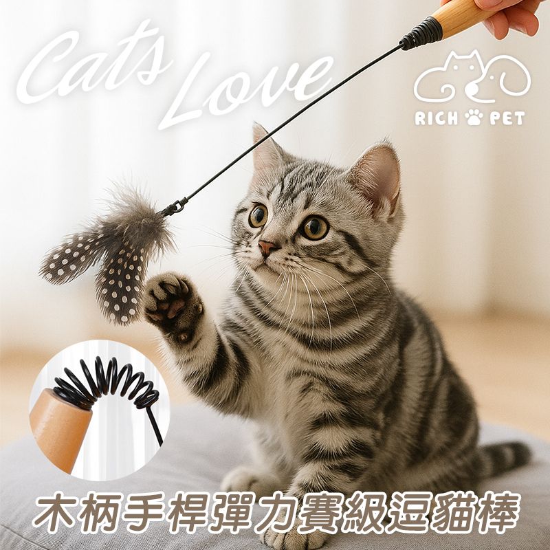 【RICH PET】木柄手桿彈力賽級逗貓棒 逗貓棒 貓咪玩具 貓玩具 寵物玩具 逗貓 T031