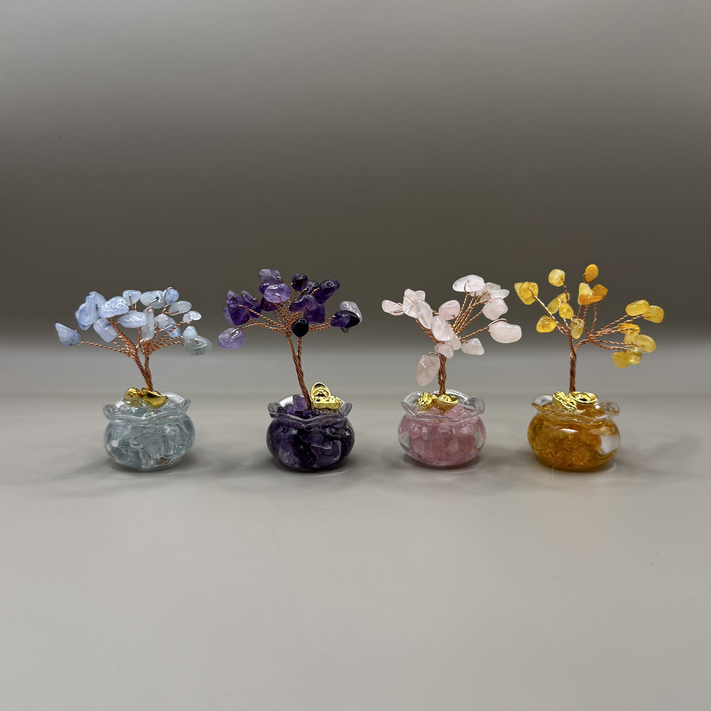 迷你水晶發財樹