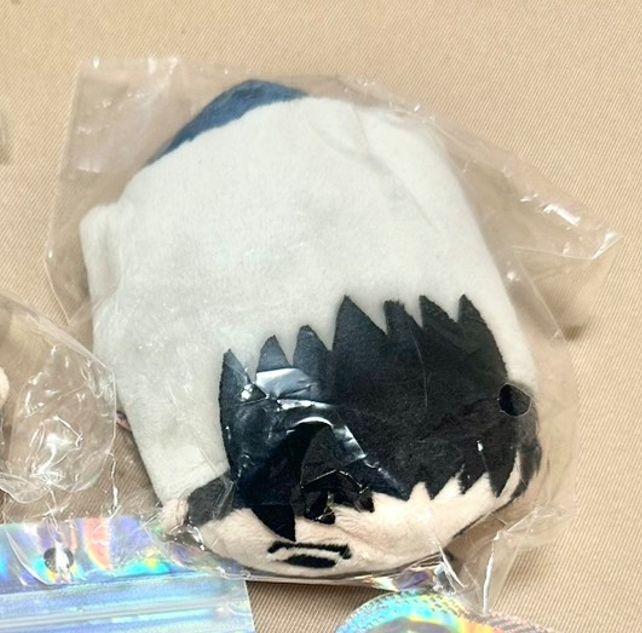 （全新未拆）尾形趴娃（松雪）