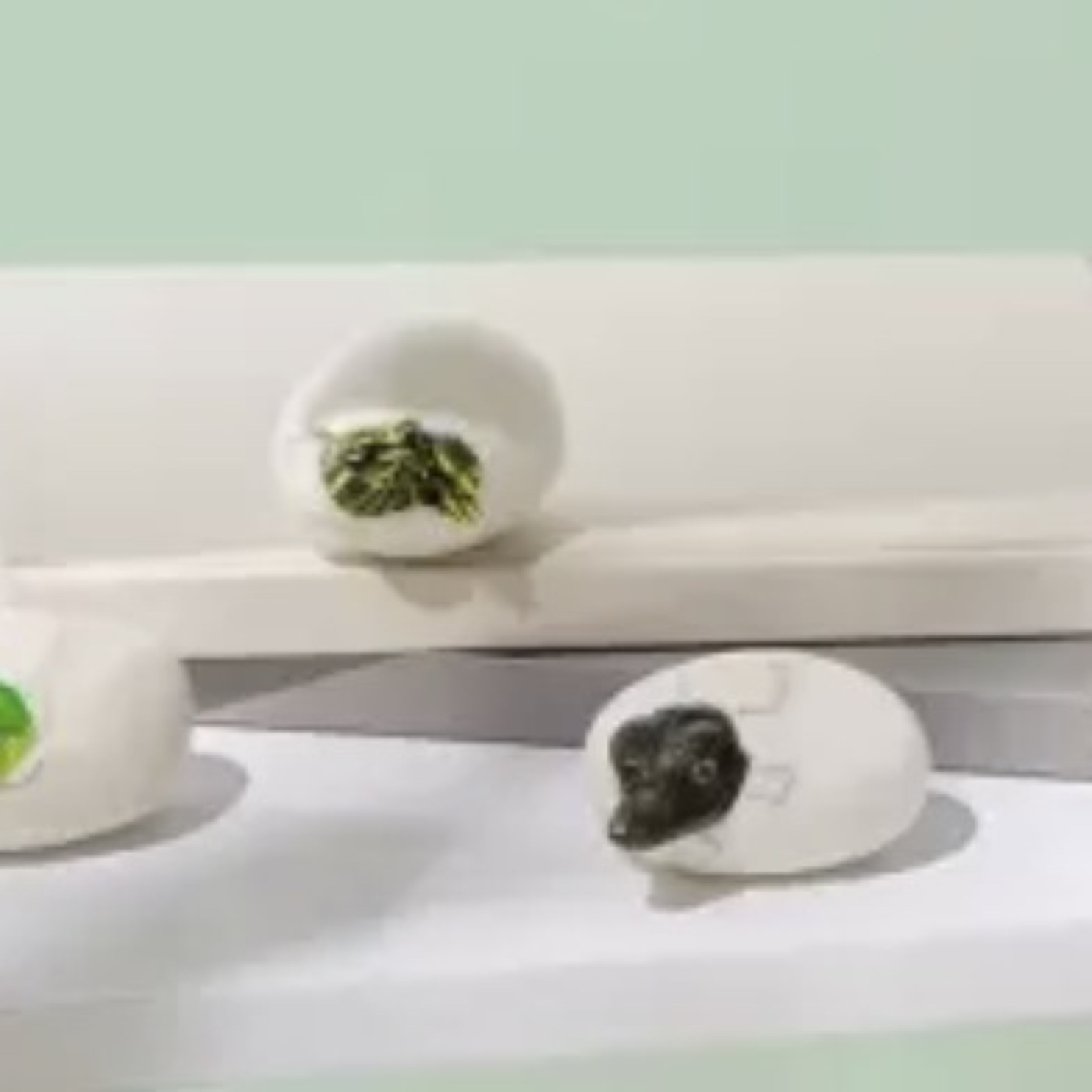 烏龜