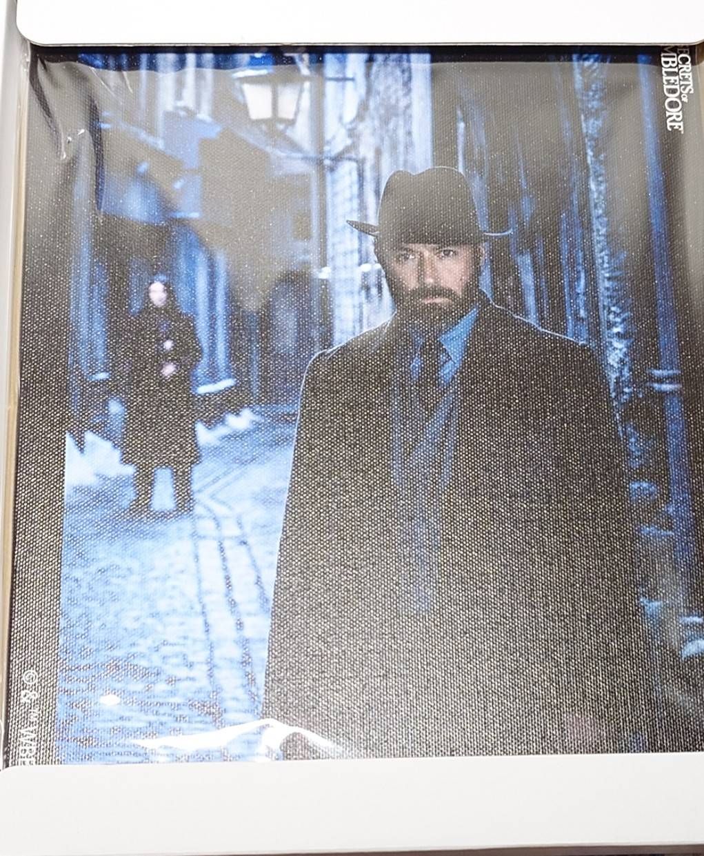 鄧不利多版畫+最後賞大立牌（如圖）