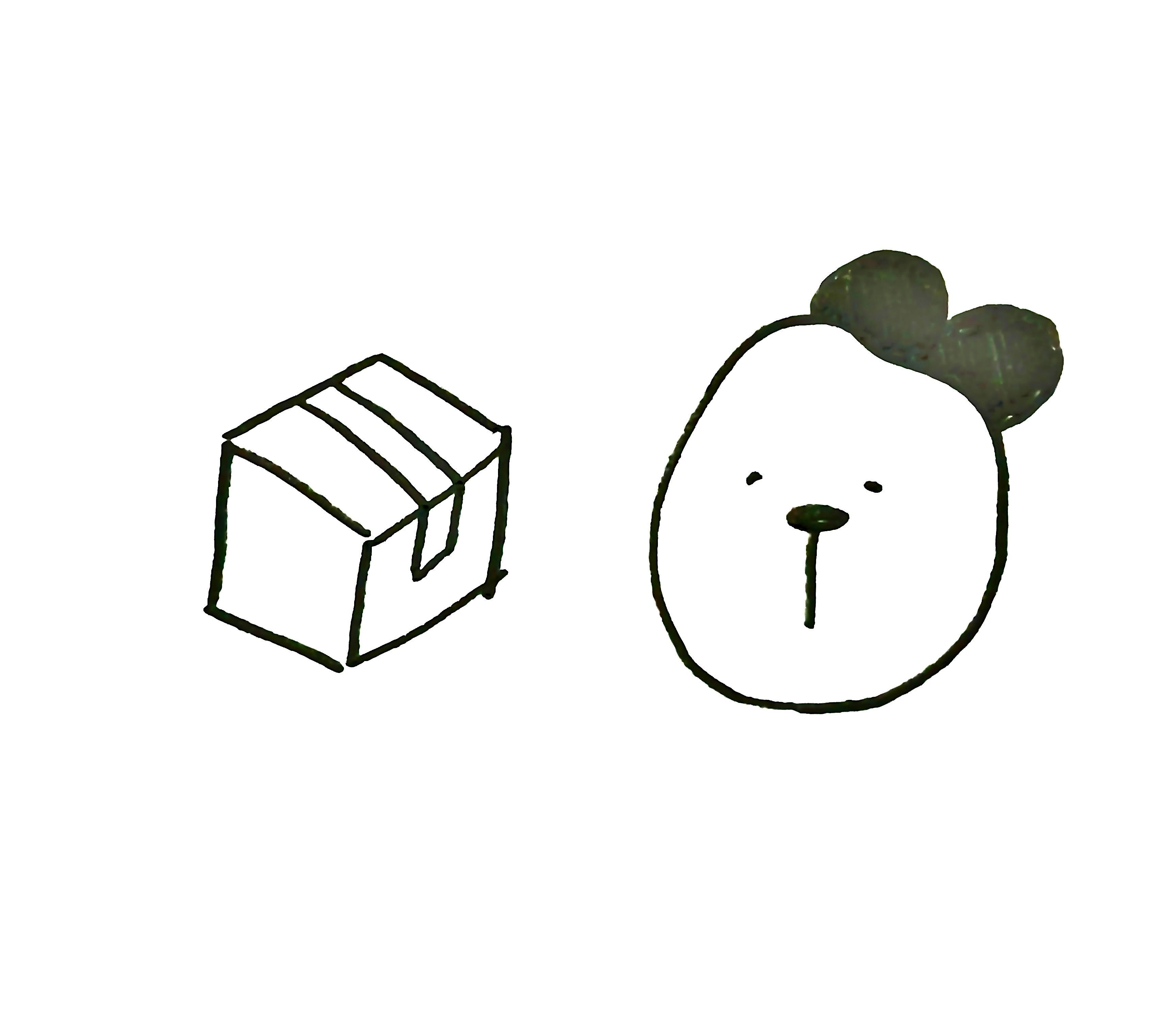 紙箱（!需加購才能成功下單!）