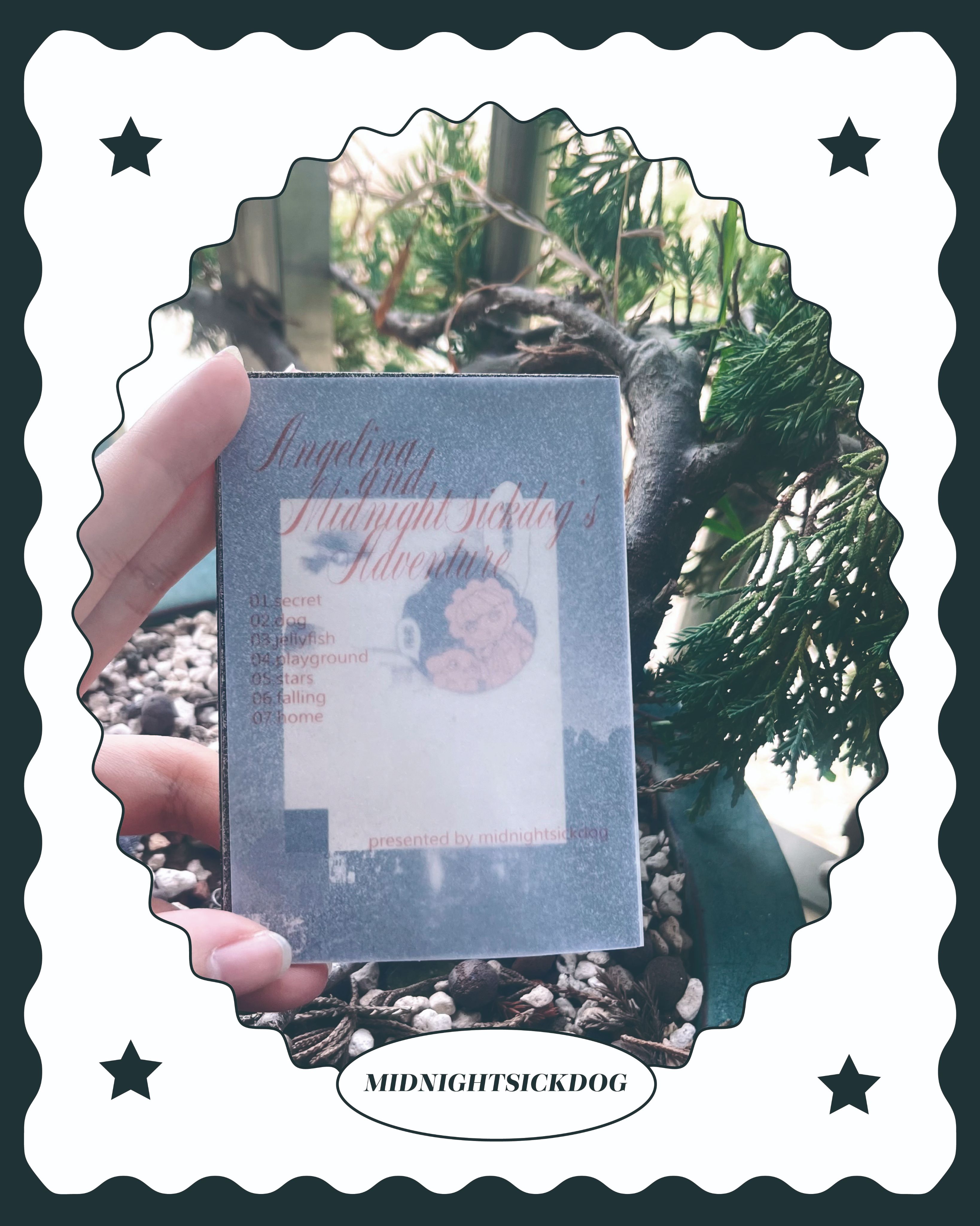 安潔莉娜與西可犬的冒險小書