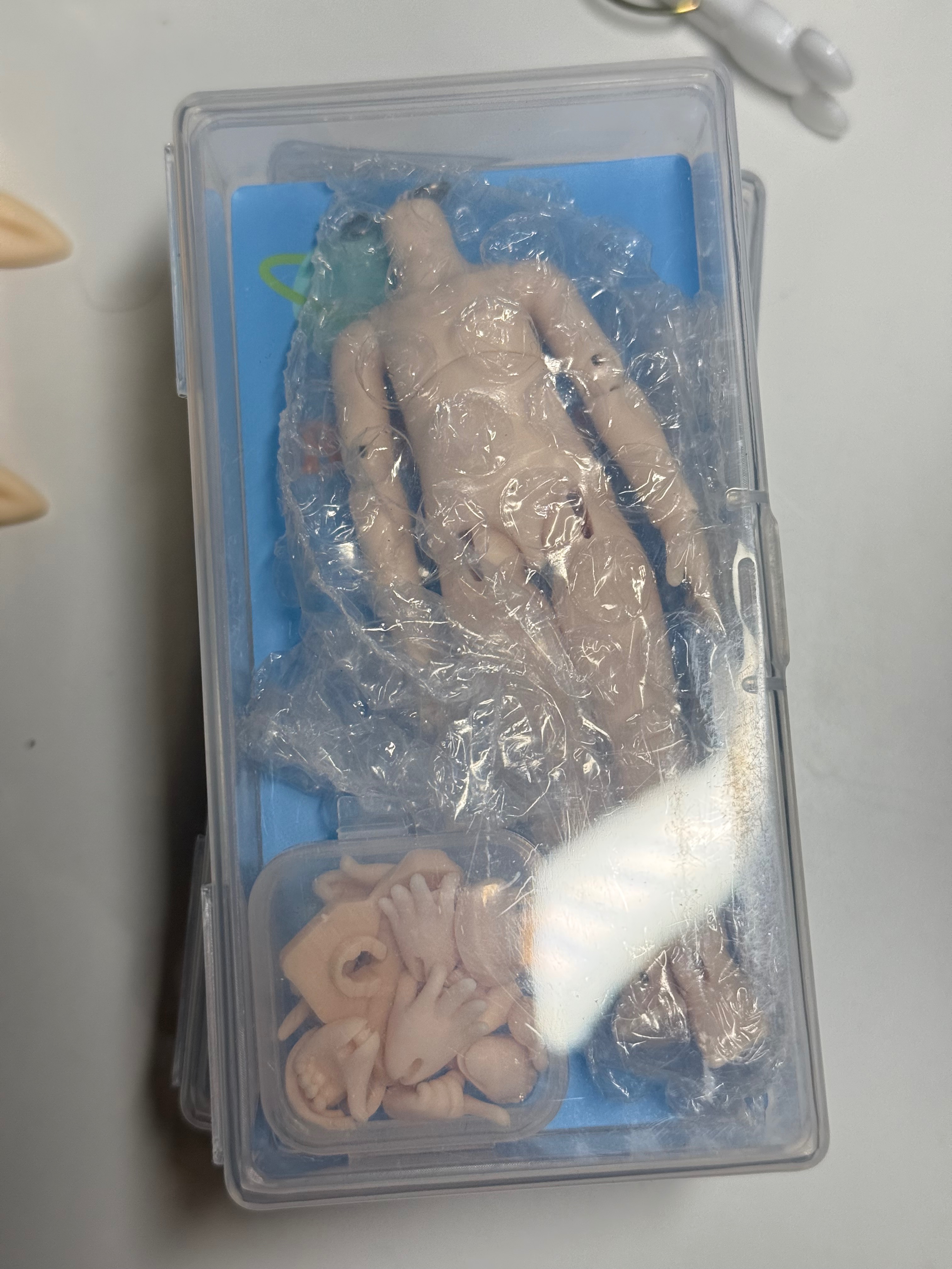 雪糕體 普白 全新 複數