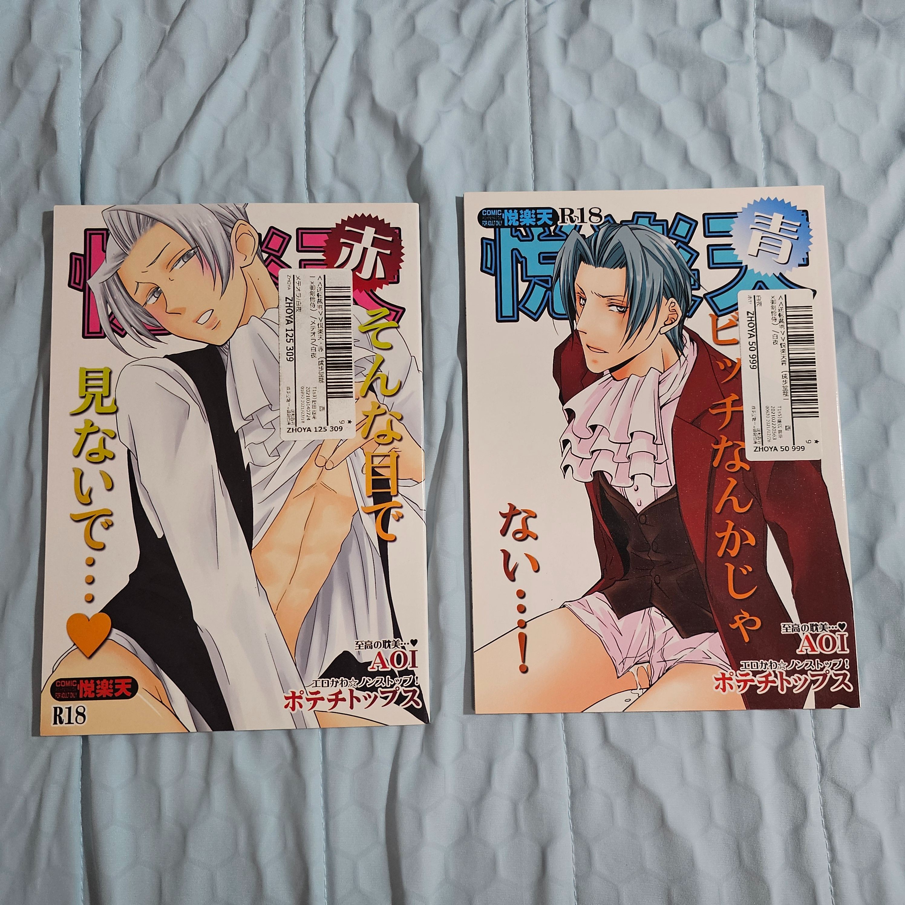 日文 漫畫本 同人 悦楽天・赤+青 メテオラ+白夜