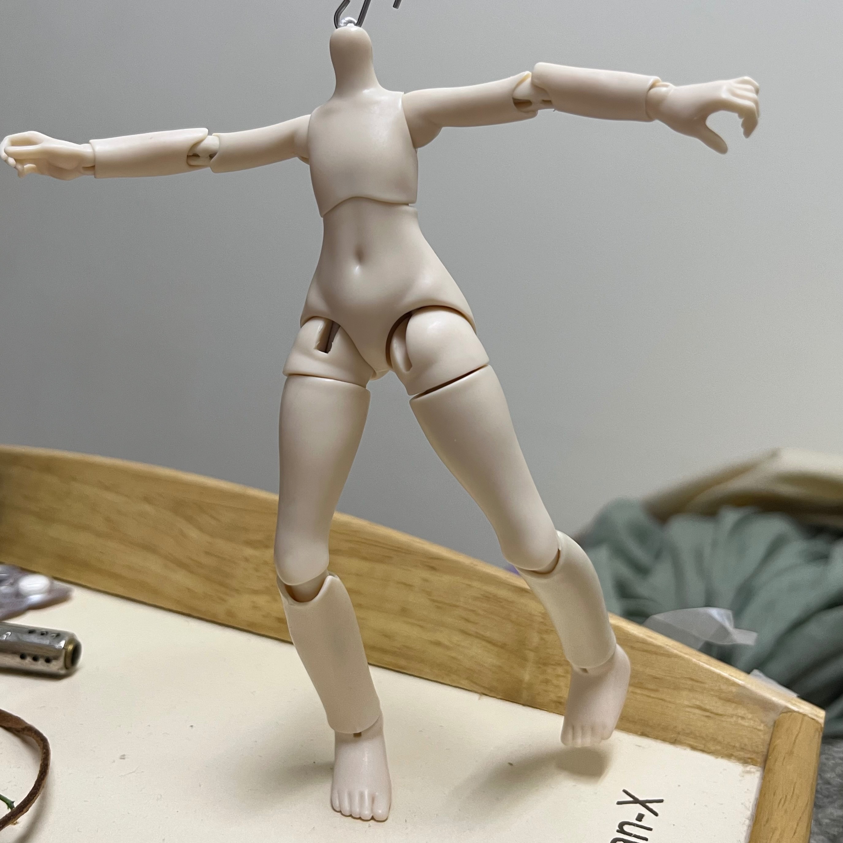 素體請看說明