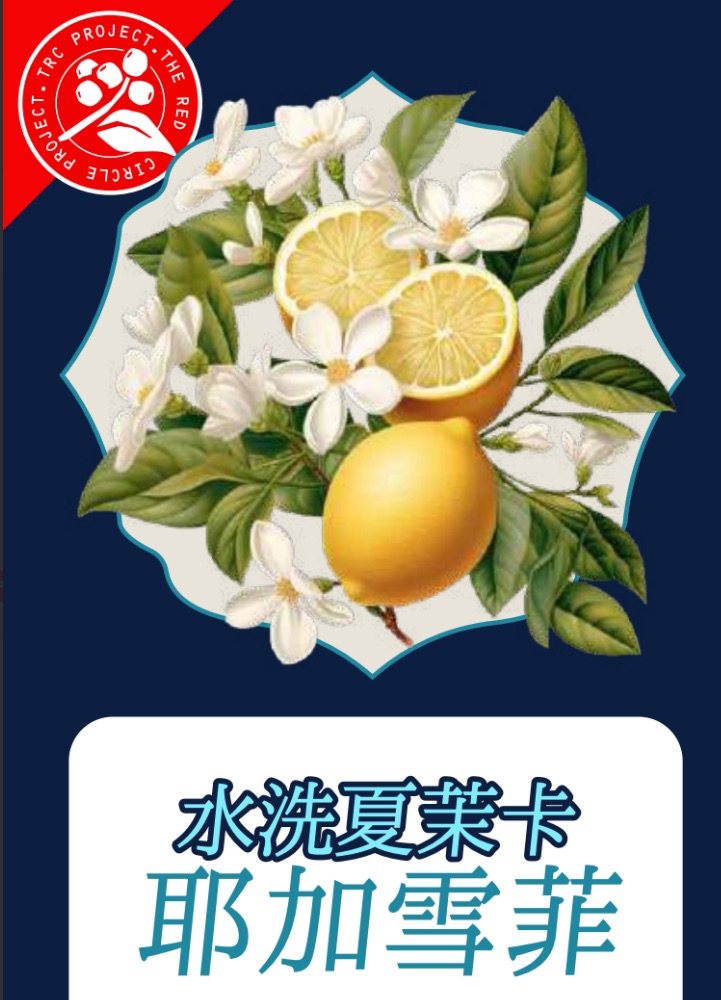 夏茉卡