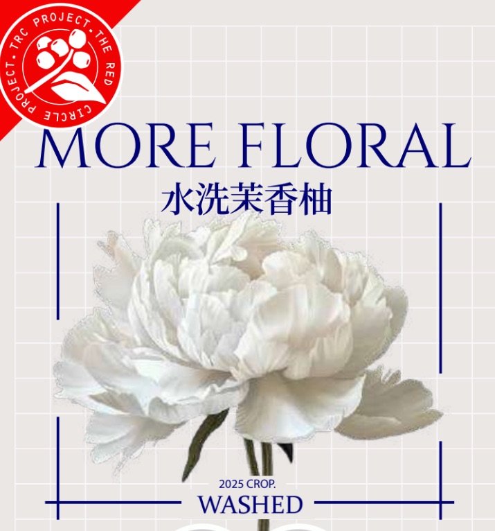 茉香柚