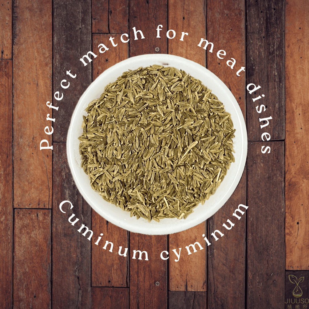 植癒所 有機孜然籽 英國進口有機天然花草茶 草本茶 適合茶飲 酊劑 花草糖漿 手工皂 純露 精油 薰香