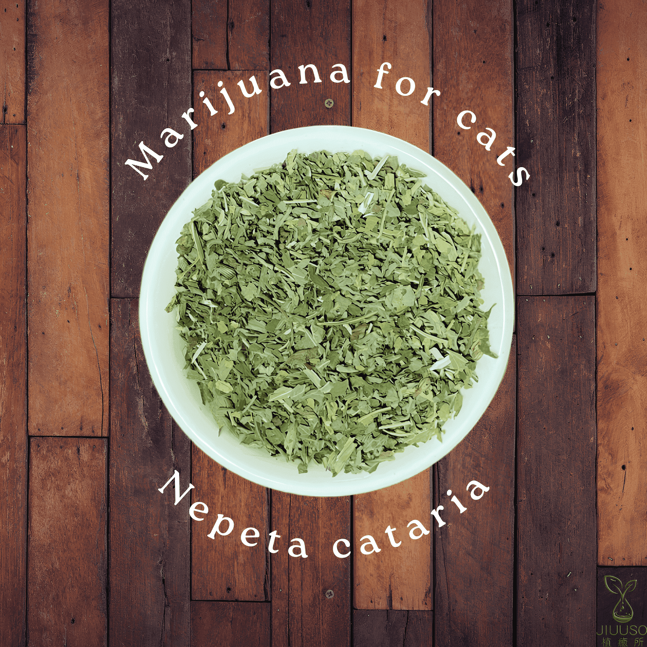 植癒所 有機貓薄荷 荊芥 英國進口有機天然花草茶 草本茶 適合茶飲 酊劑 花草糖漿 手工皂 純露 精油 薰香