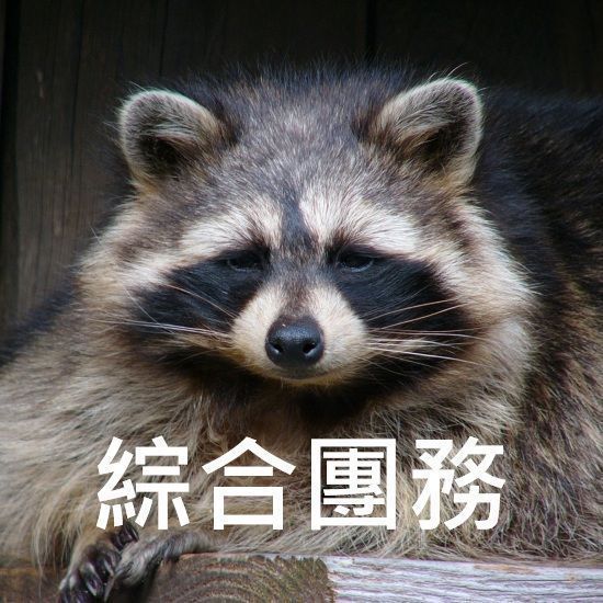 綜合團務/少量團務【若無問題下單後不用回報，請勿留言於備註，需要晚出貨請在下單前聯絡】