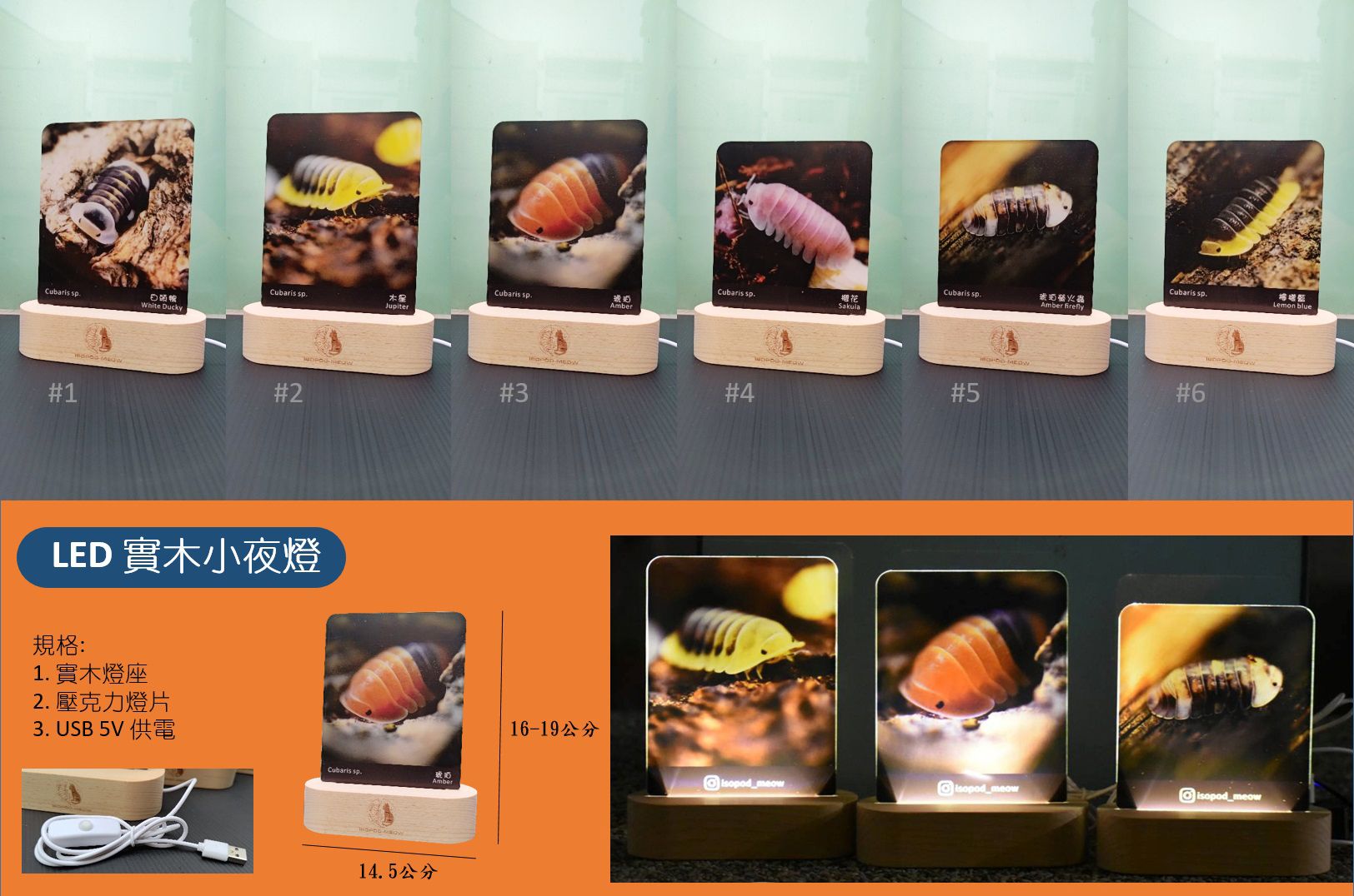 壓克力LED小夜燈