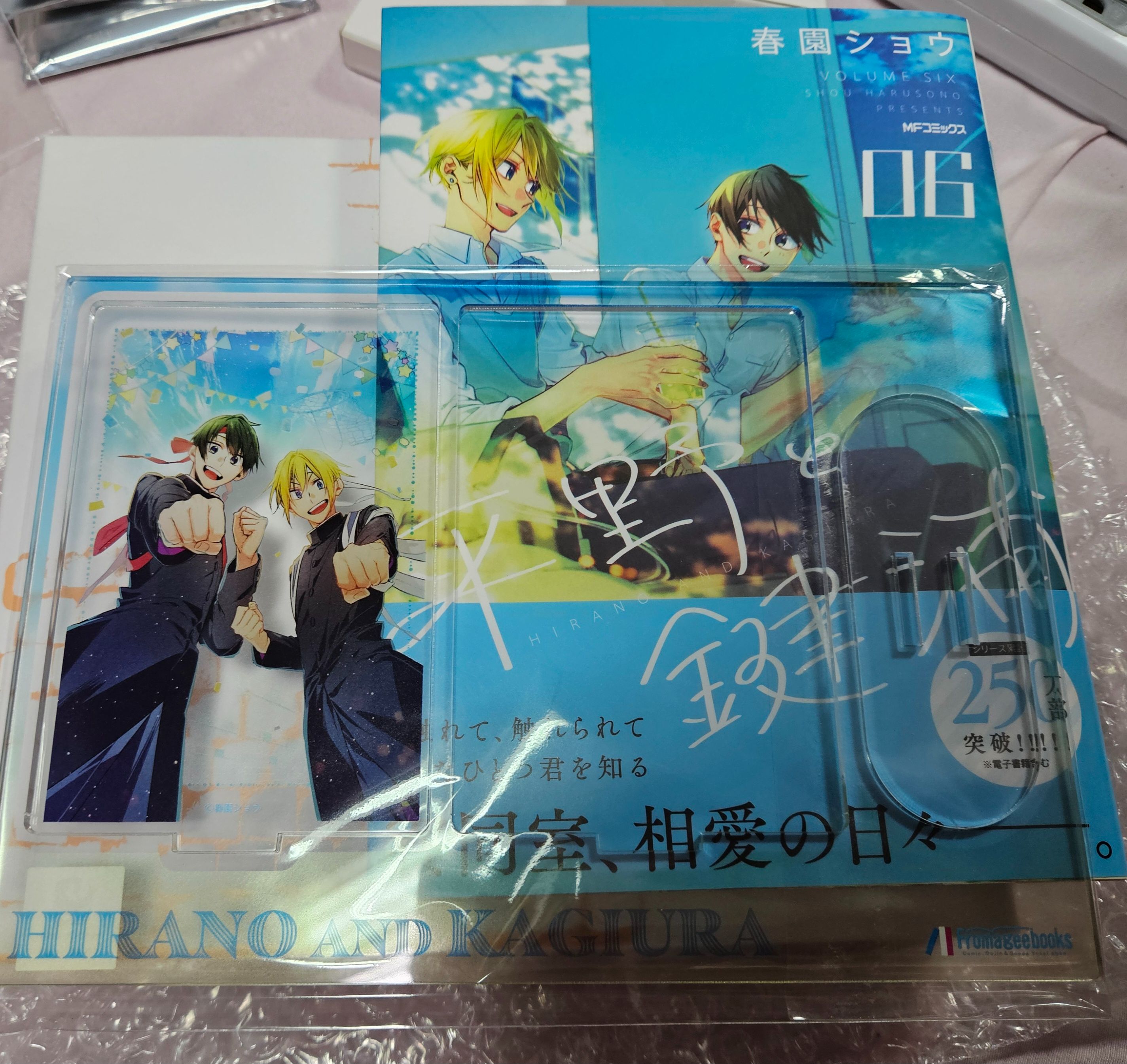 平野與鍵浦6 日版漫畫+特典立牌