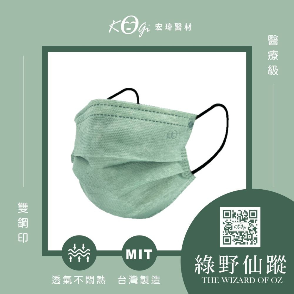 宏瑋 成人平面口罩-滿版綠野仙蹤