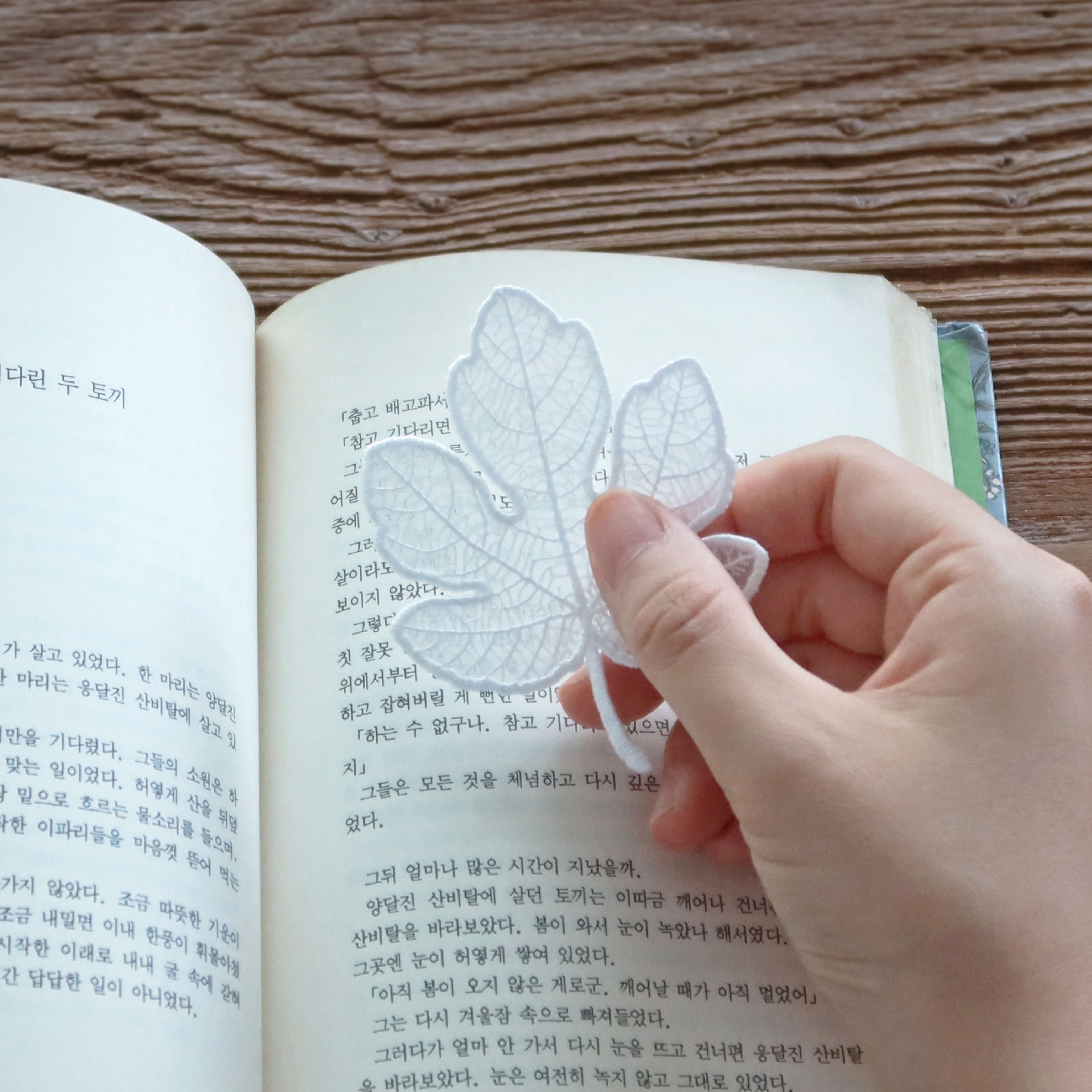 純白葉脈．無花果葉刺繡透紗書籤 [So-eon]
