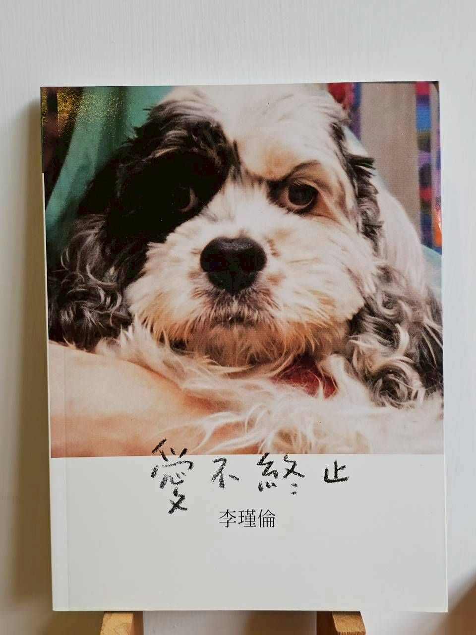 愛不終止