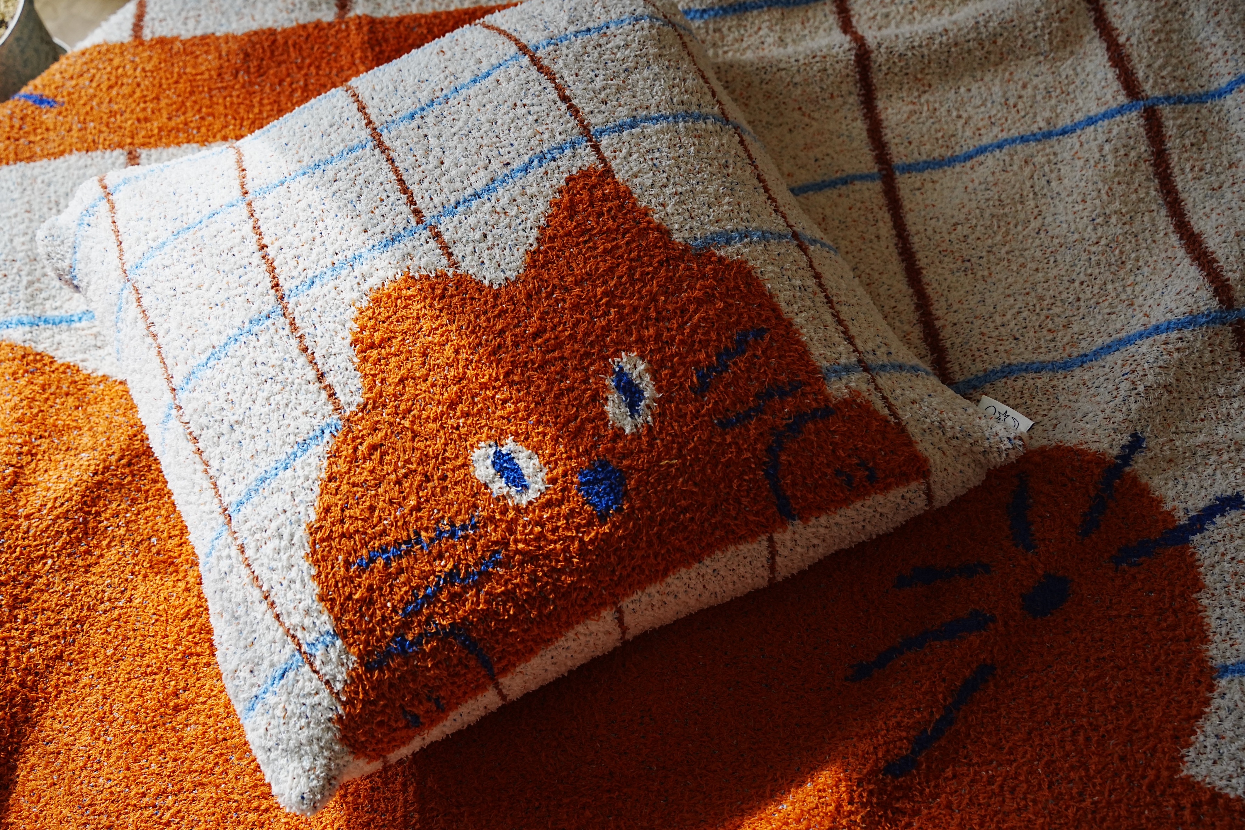 抱枕套｜Orange cat