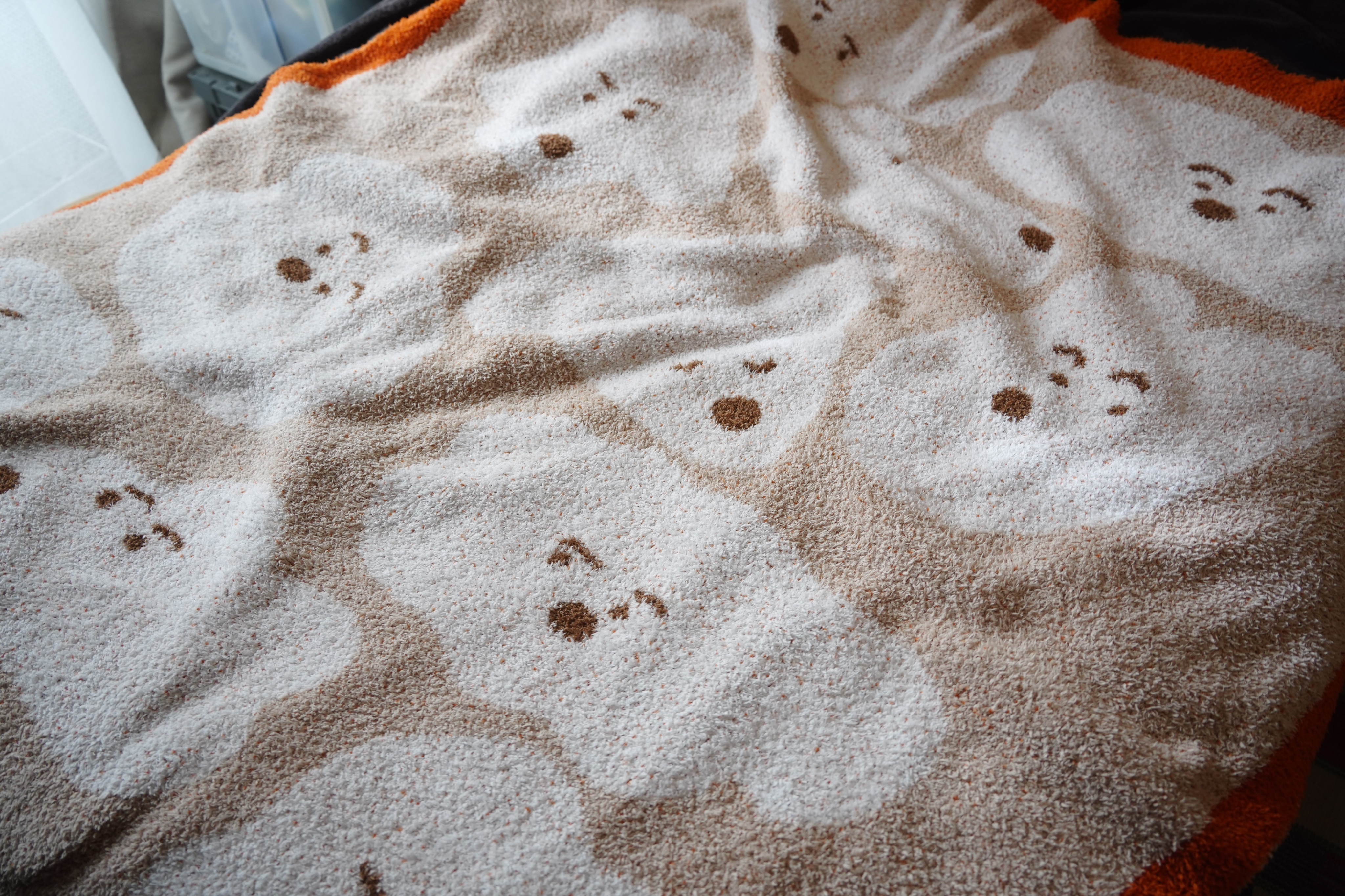 絨毯（大）| Dogs in my life