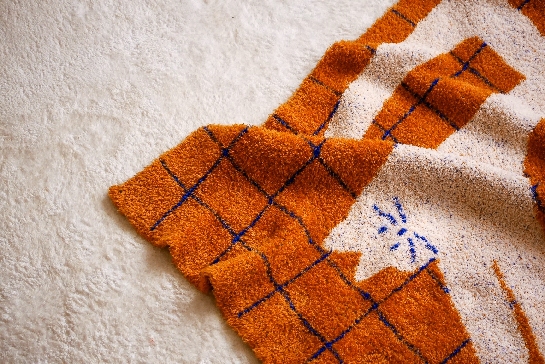 絨毯（小）| Brown cat