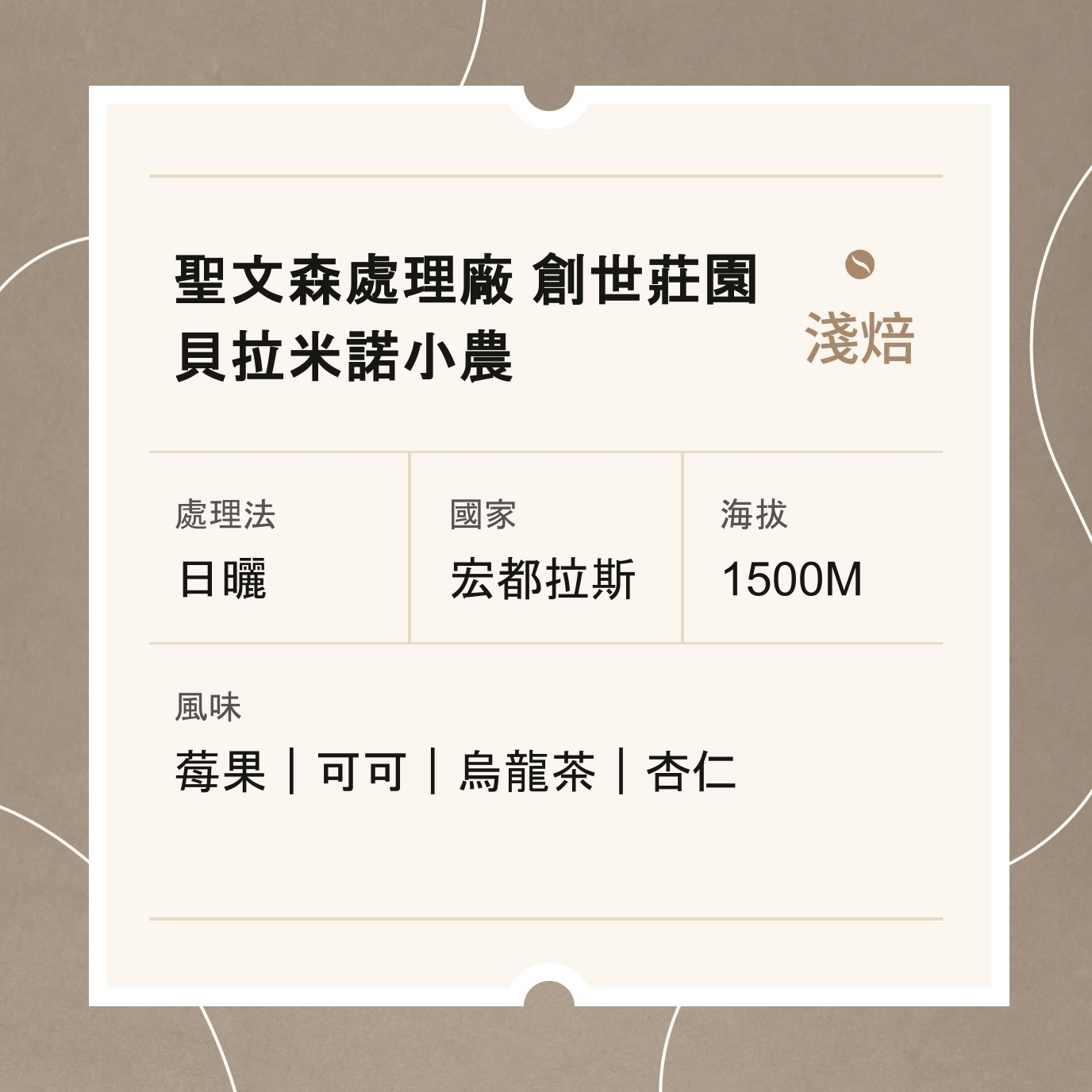 宏都拉斯 聖文森處理廠 創世莊園 貝拉米諾小農 日曬