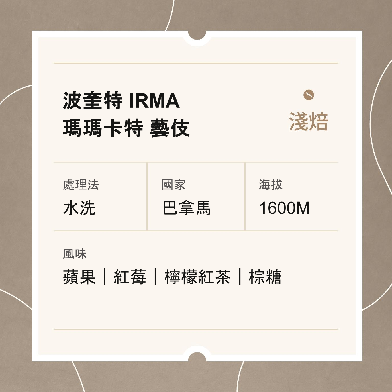 巴拿馬 波奎特 IRMa 瑪瑪卡特   日曬 藝伎