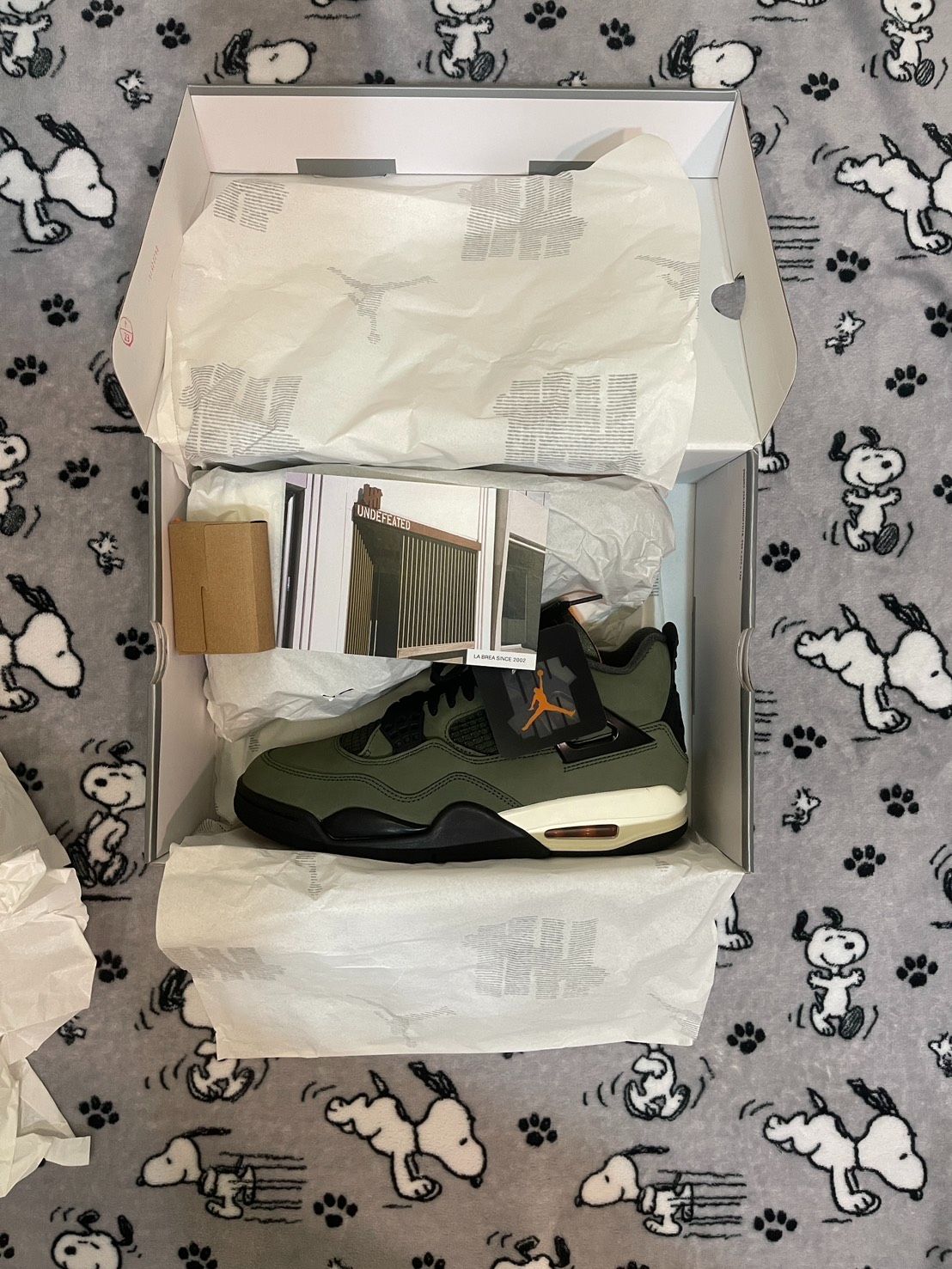 Jordan 4 Undefeated （2025） IB1519-200 - US8.5全新